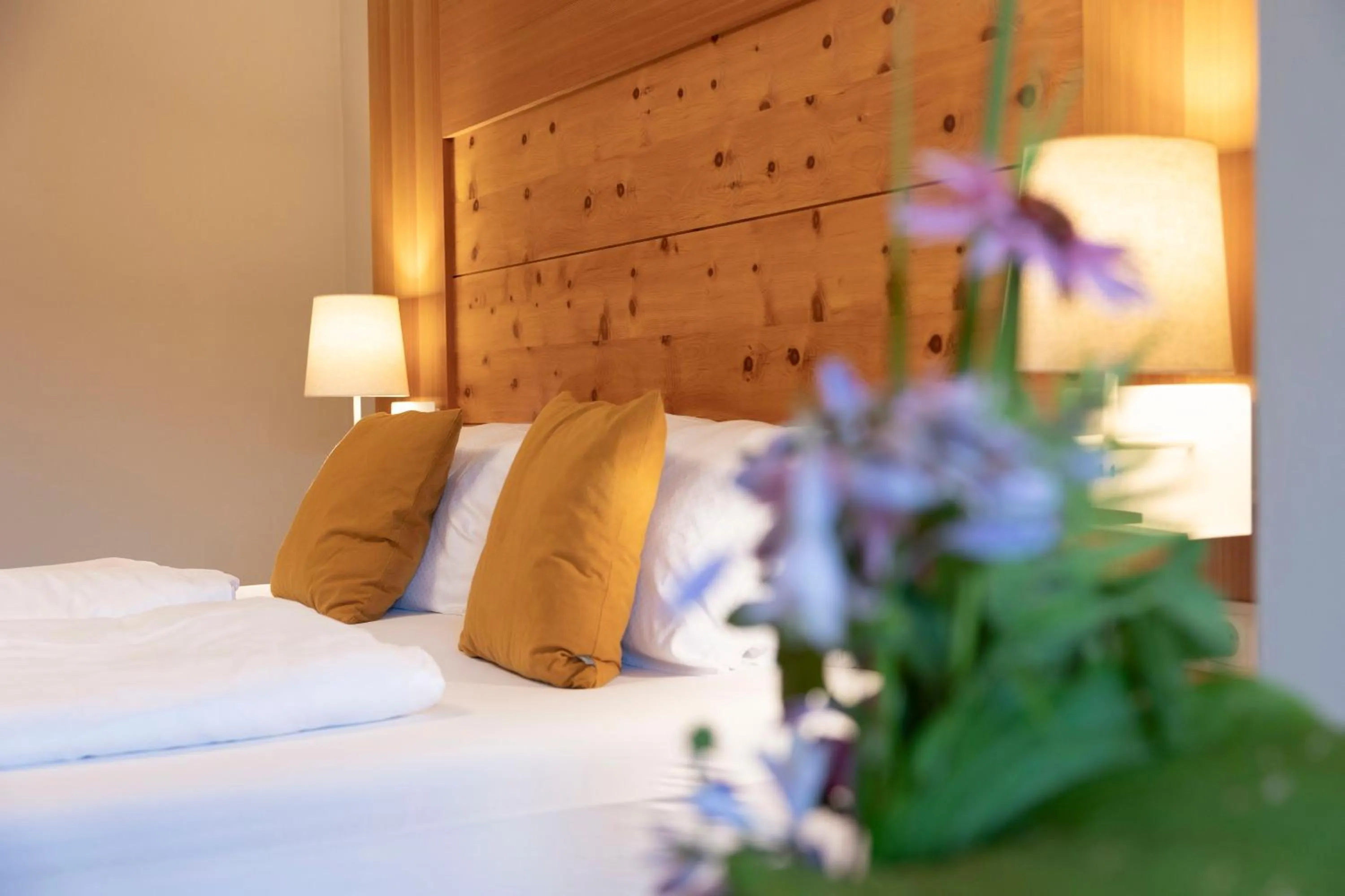 Bed in Apart-Elisabeth