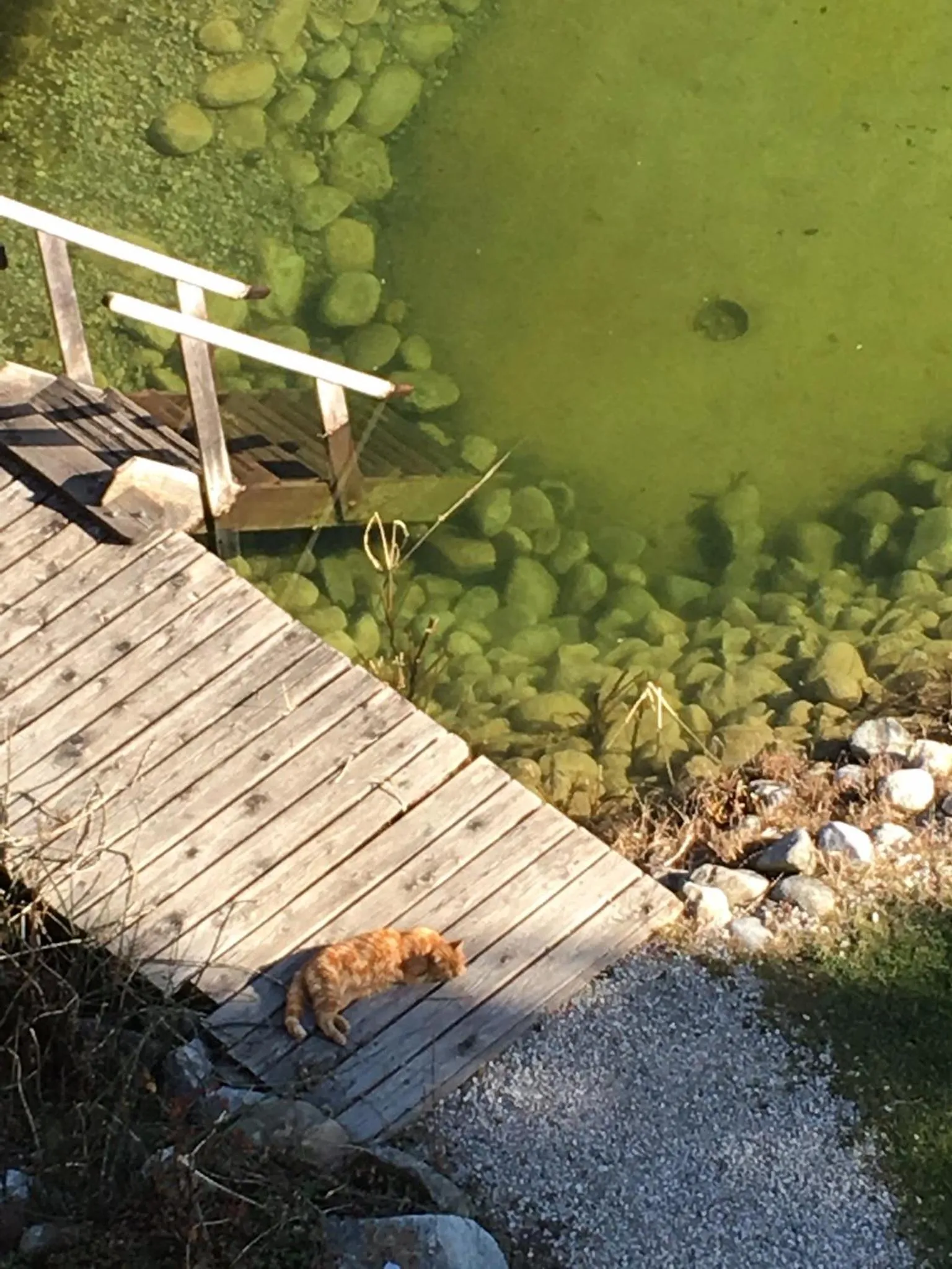 Day in Apart-Elisabeth