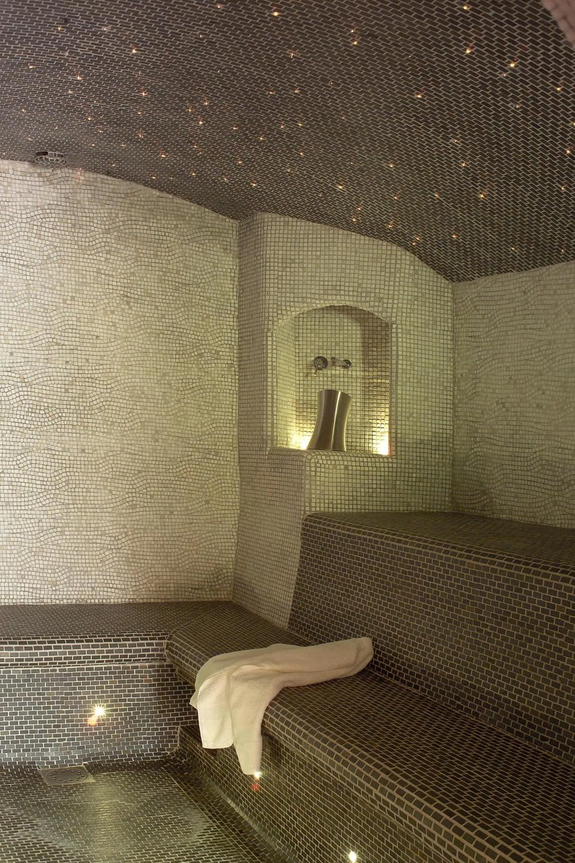 Steam room in Alliey & Spa Piscine Appart-hôtel Serre chevalier