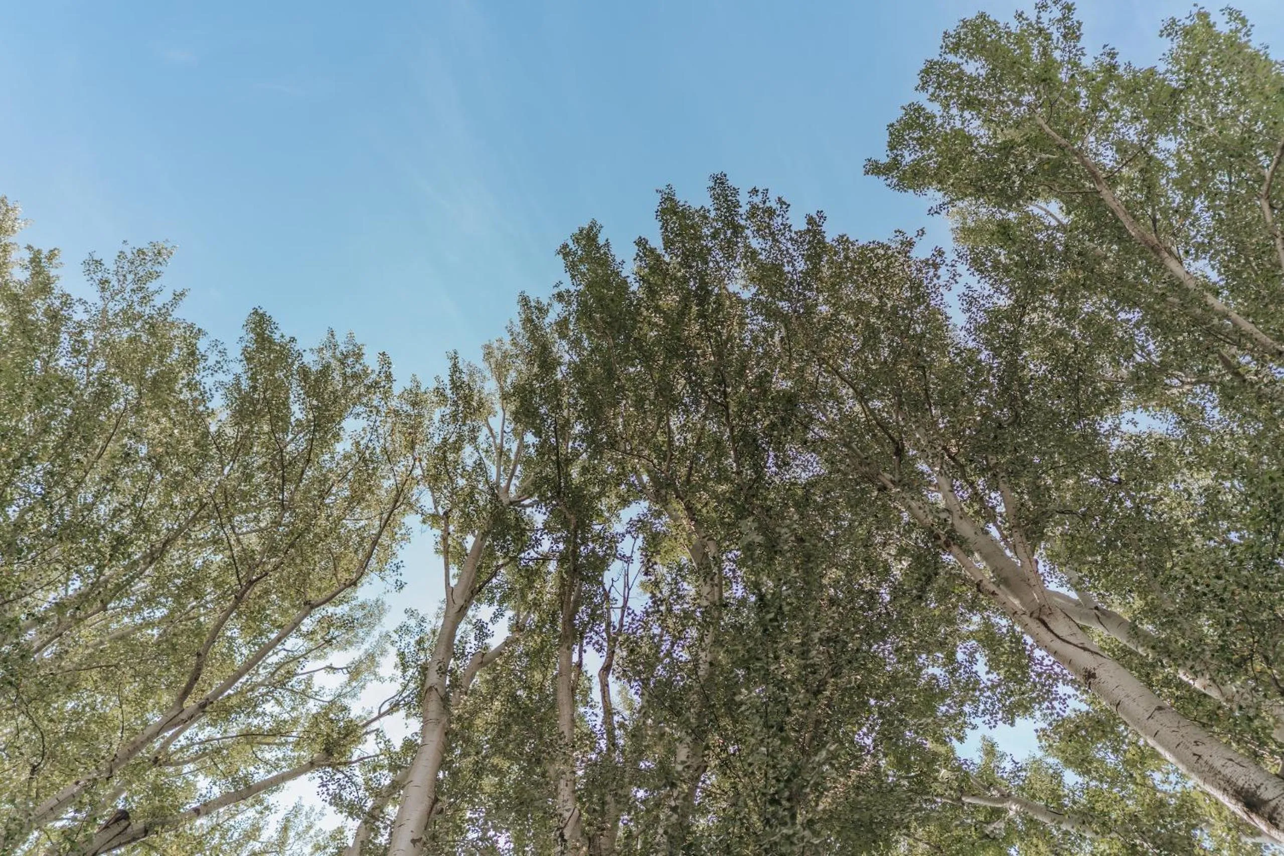 Spring in Windsor Merano Hotel & Suites