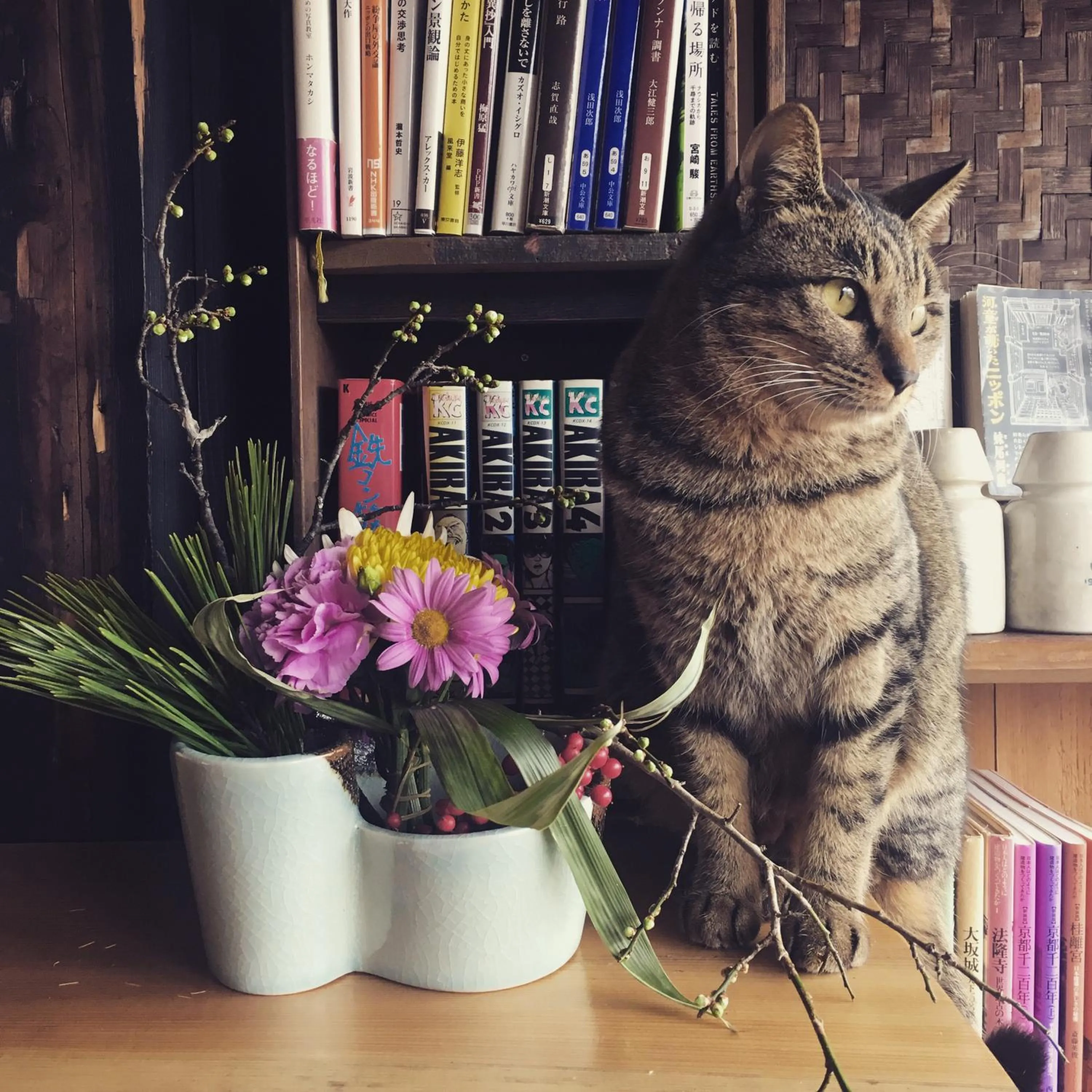 Pets in Hostel Yui-an