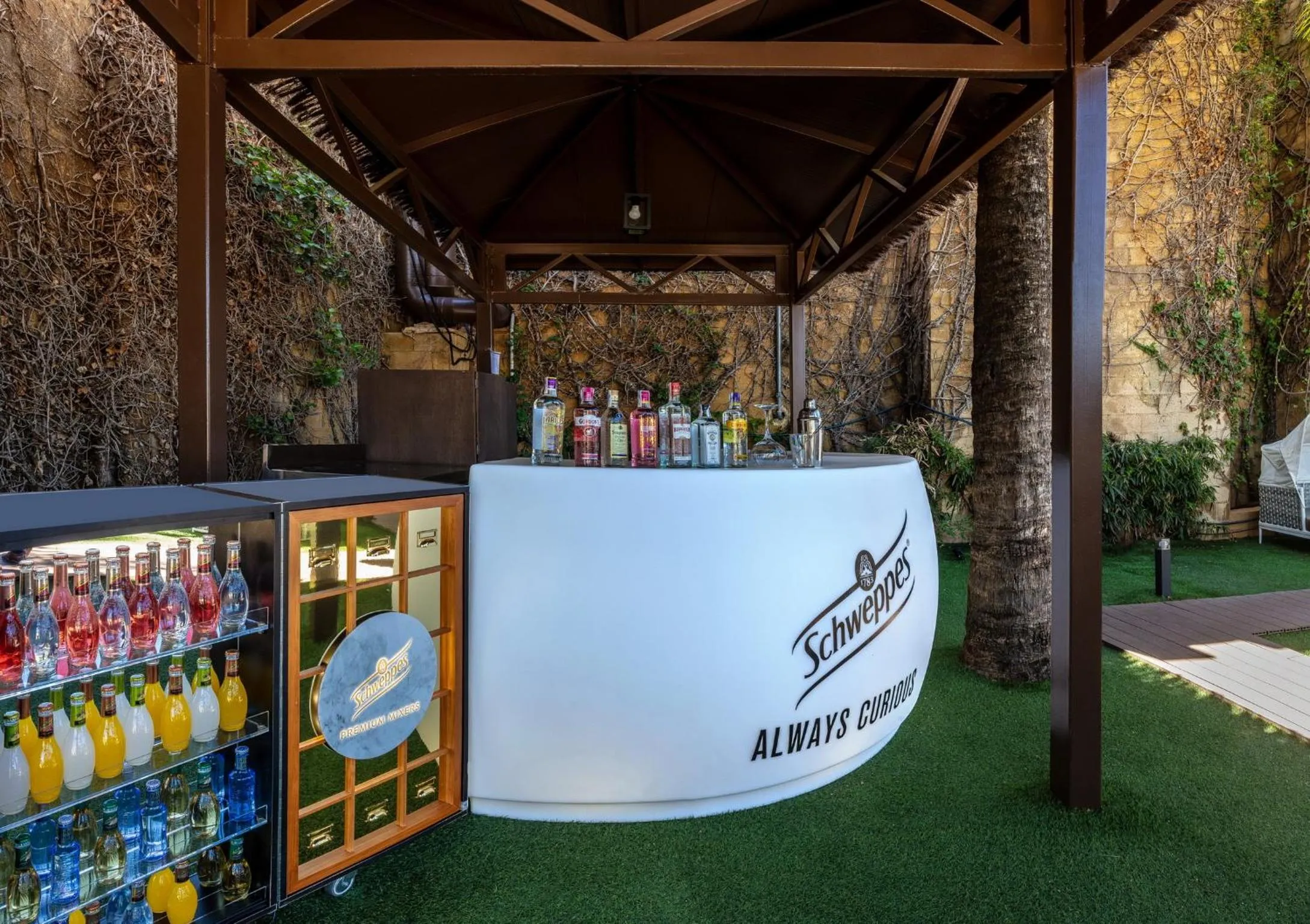 Drinks in Magic Robin Hood