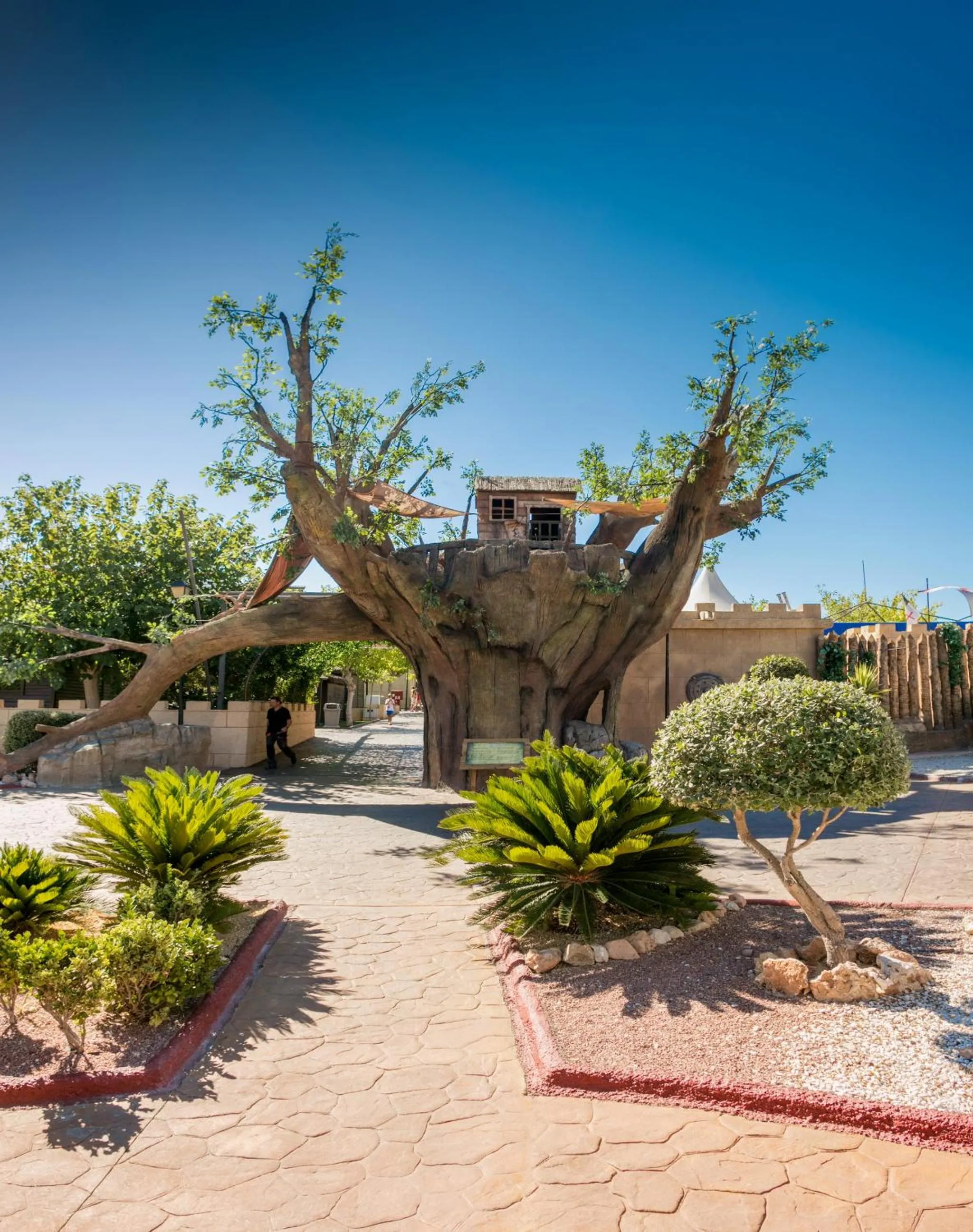 Area and facilities in Magic Robin Hood