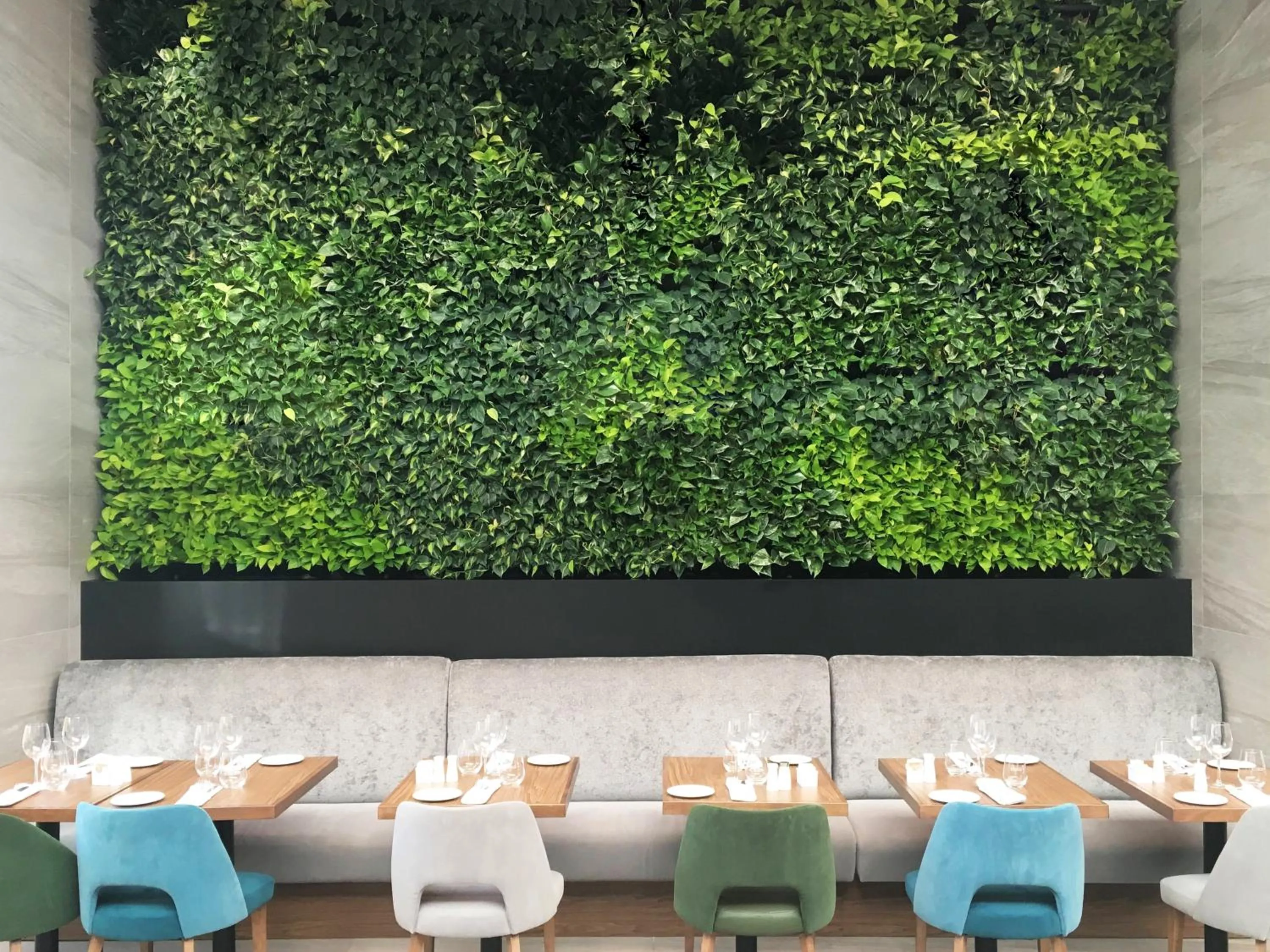 Restaurant/places to eat in Hotel Mortagne