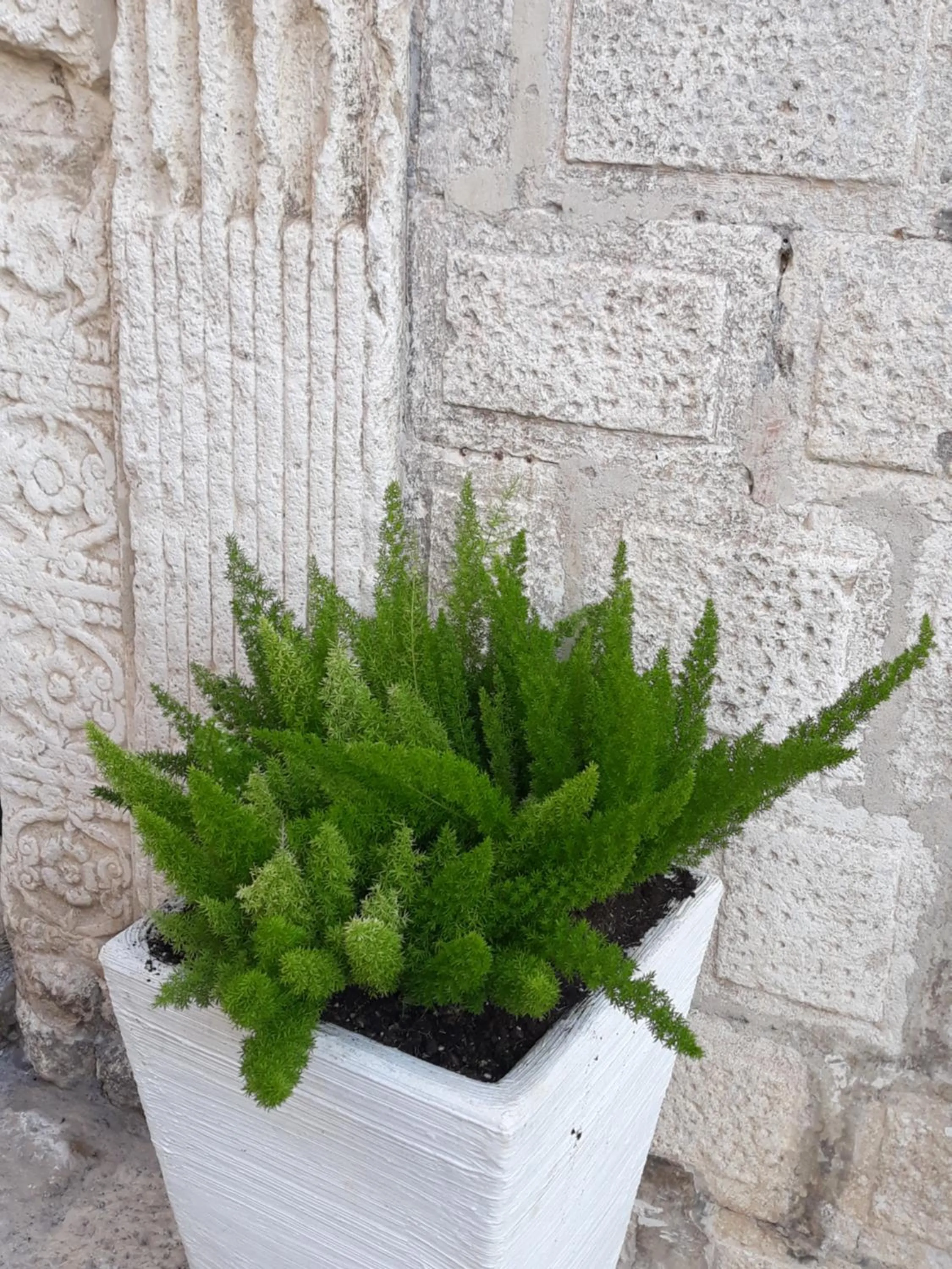 Facade/entrance in Le Bifore B&B