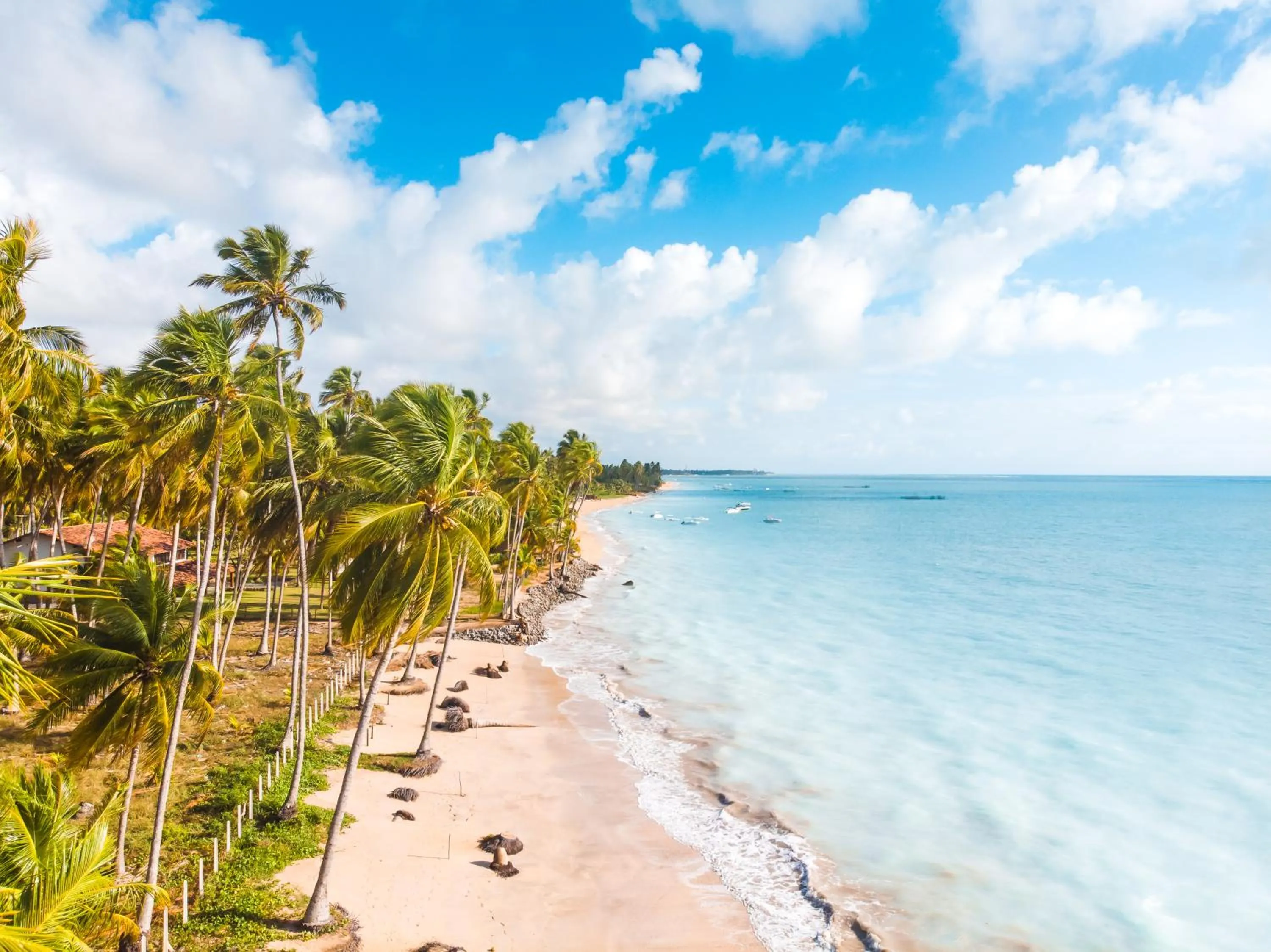 Natural landscape in Salinas Maragogi All Inclusive Resort