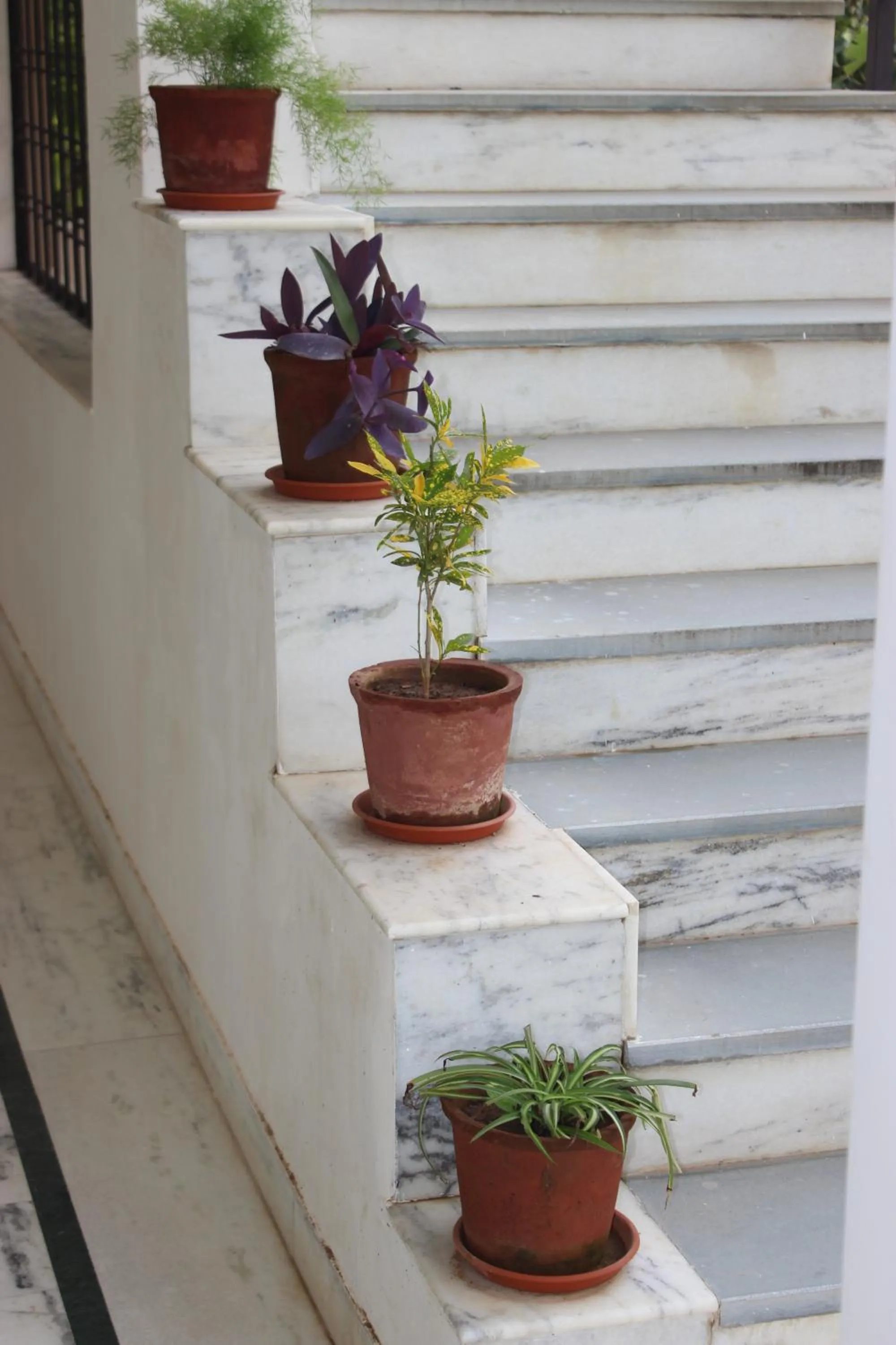 Patio in Ramya Resort & Spa