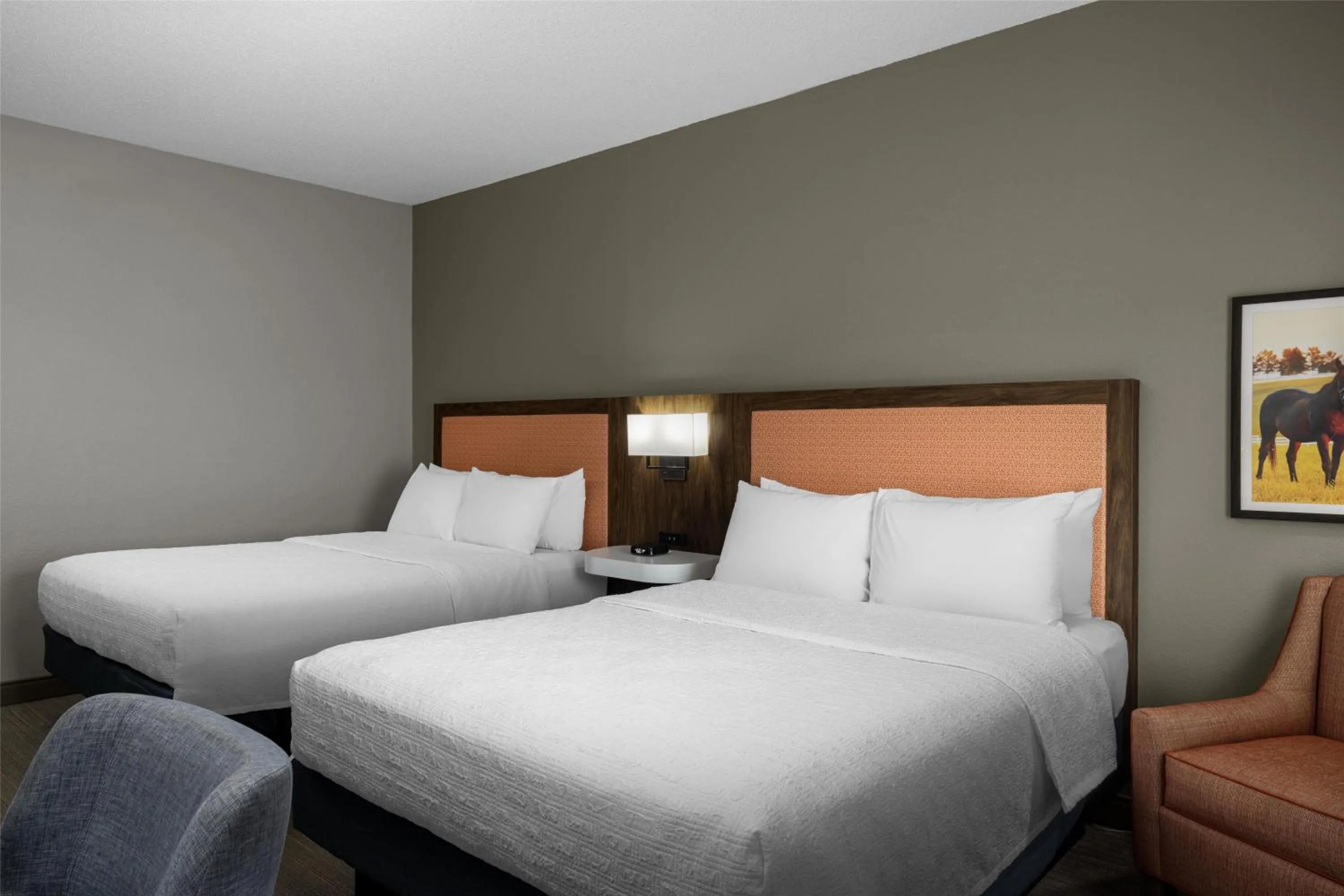 Bed in Hampton Inn Williamsburg