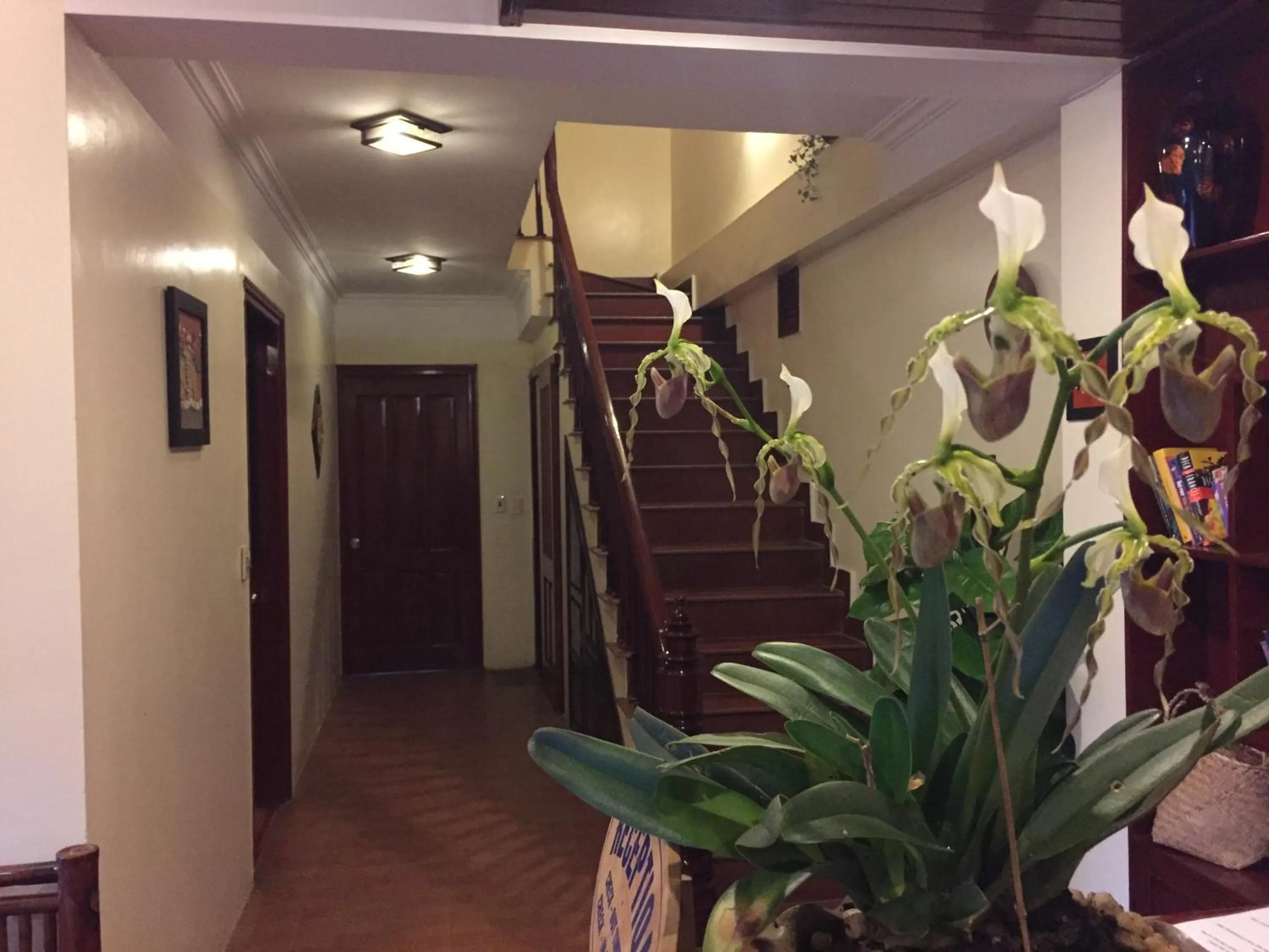 Property building in Anise Sapa Hotel