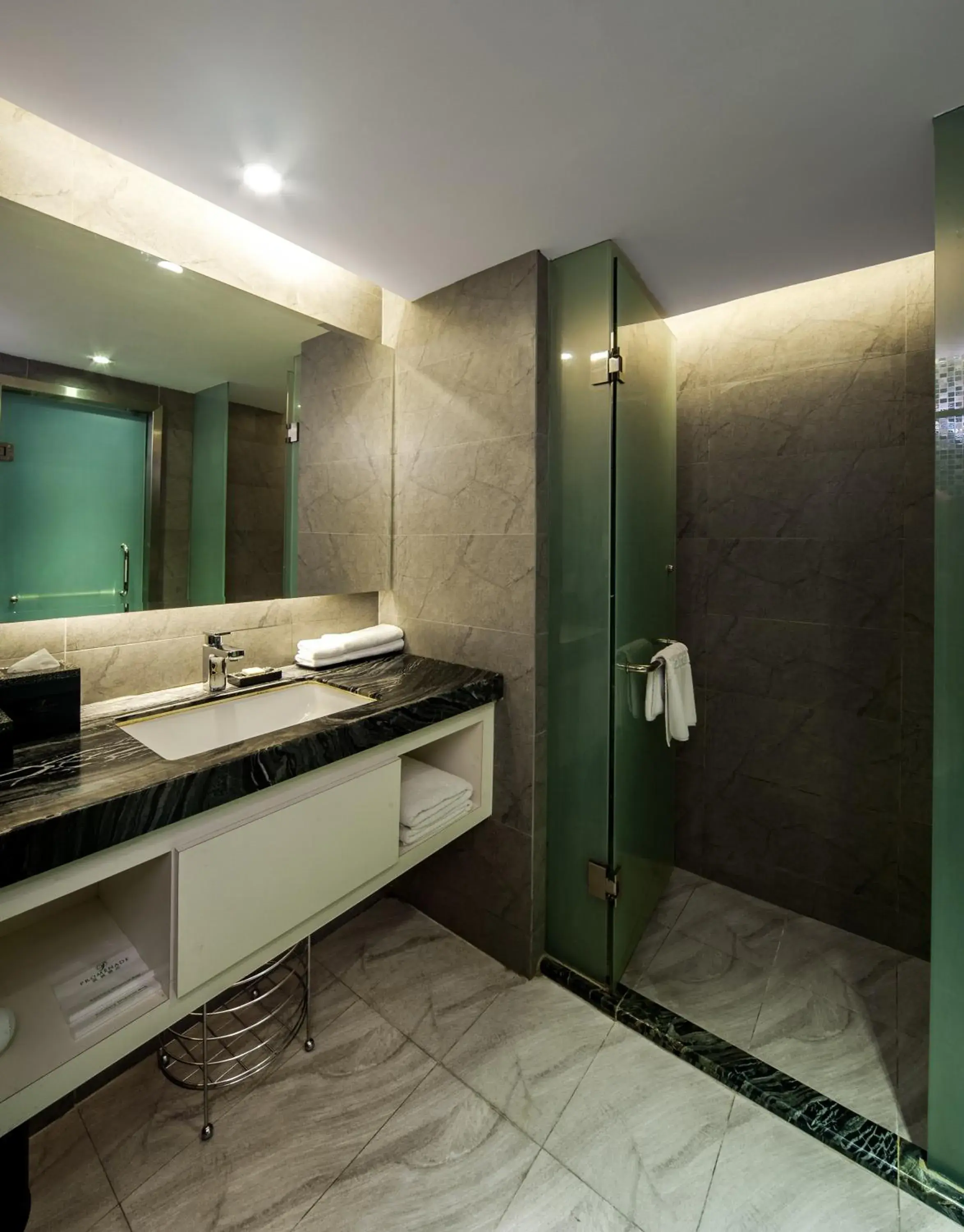 Shower, Bathroom in Promenade Hotel Kota Kinabalu