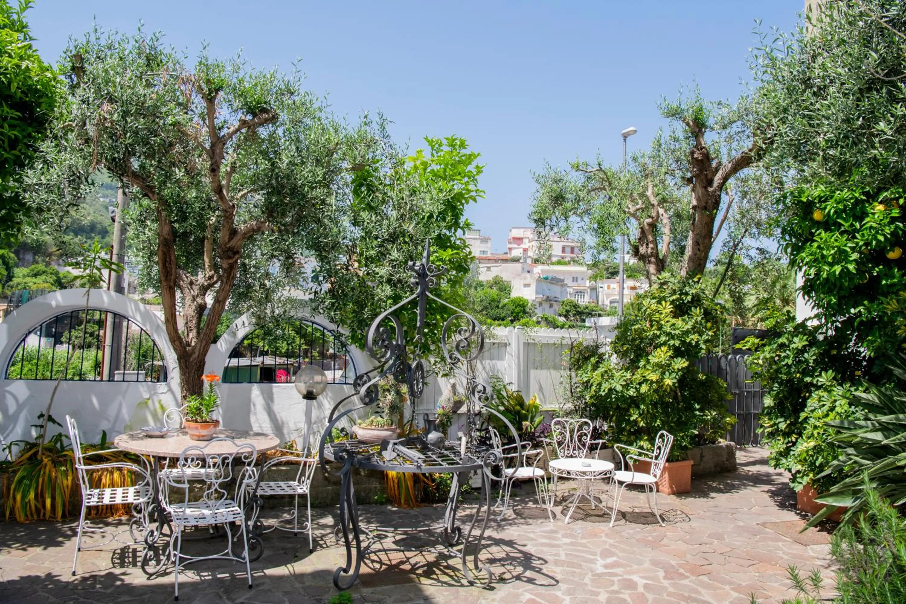 Garden in Hotel Candia