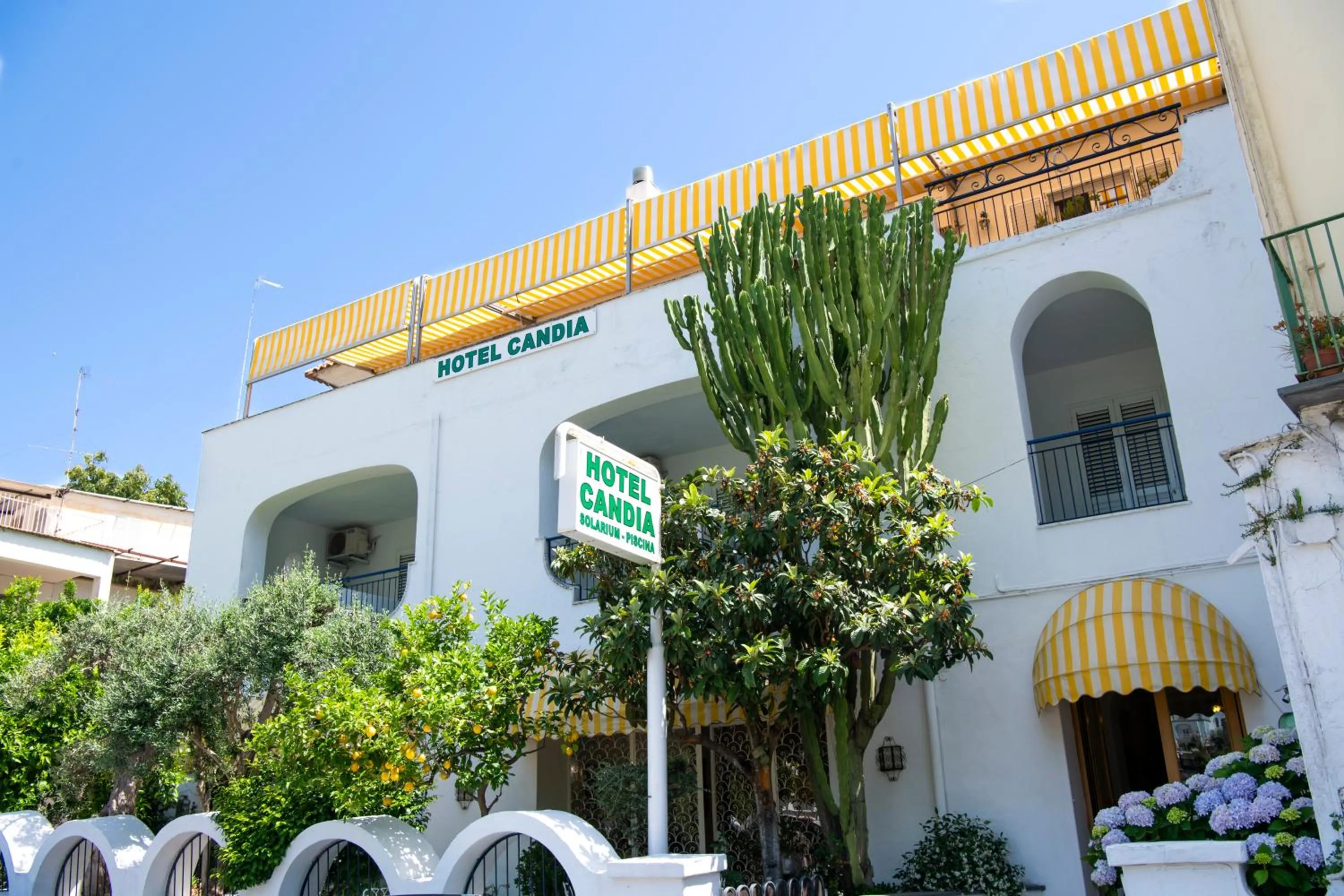 Facade/entrance in Hotel Candia
