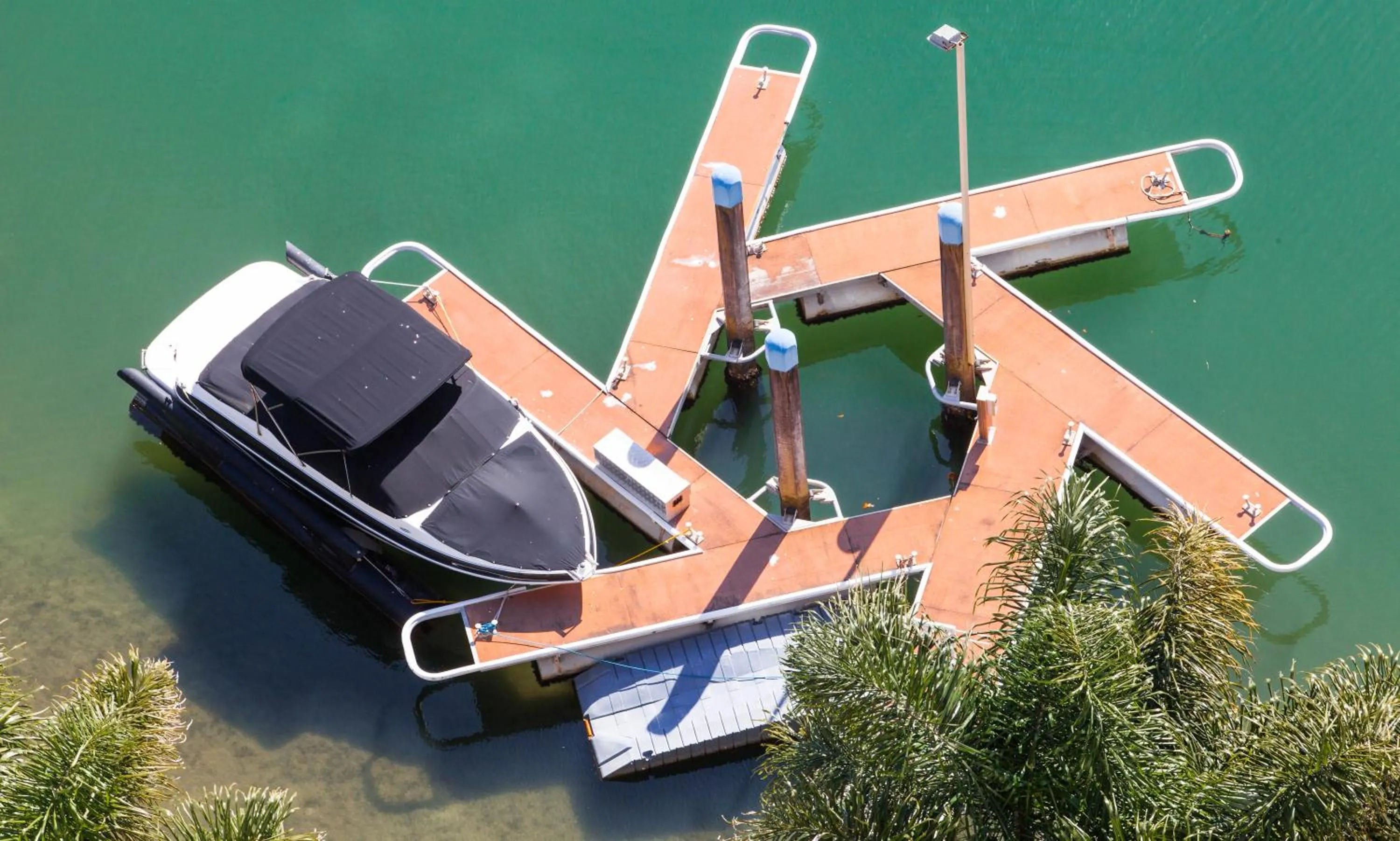 Garden in Capricorn One Beachside Holiday Apartments - Official