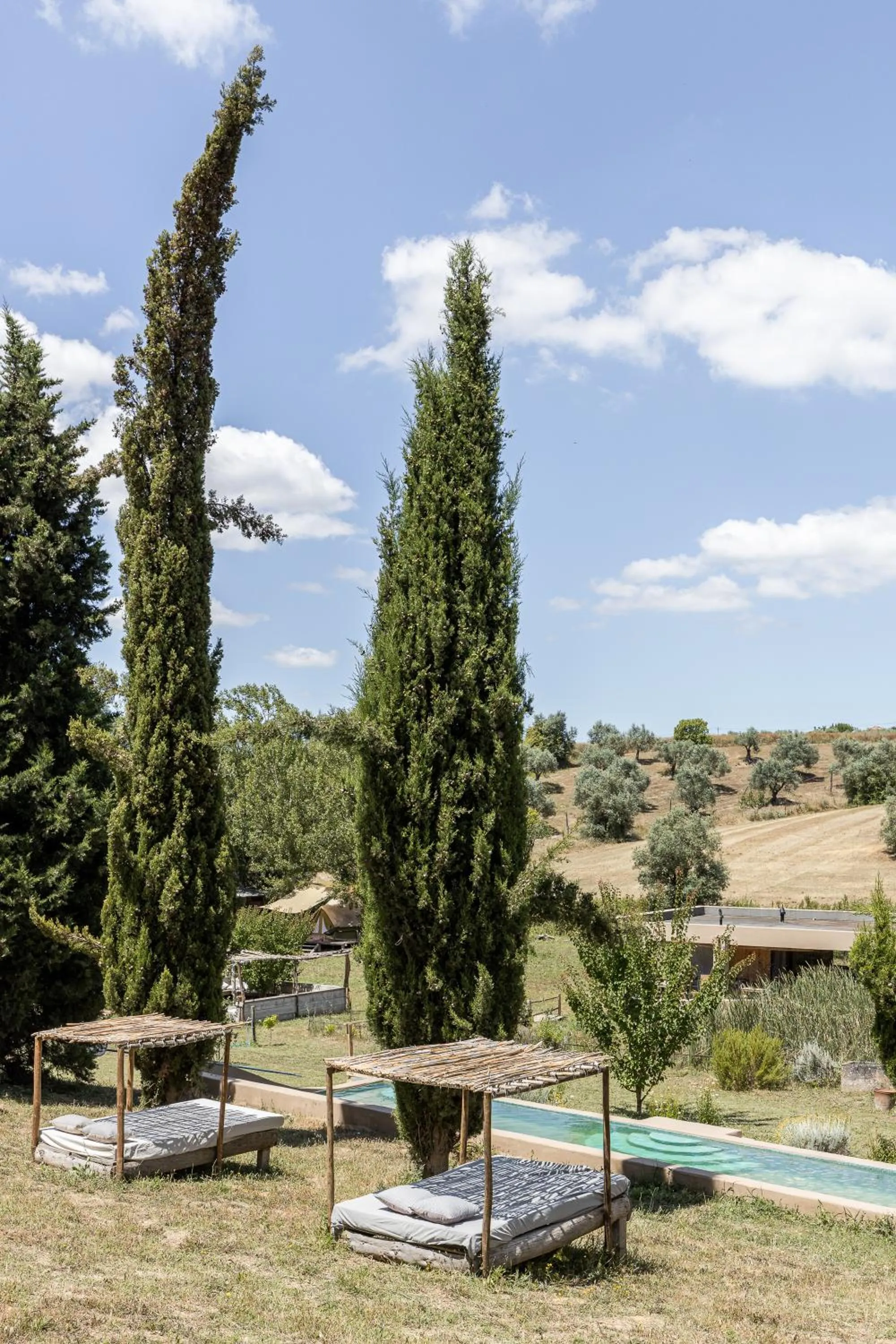 View (from property/room) in Dominio Vale Flores