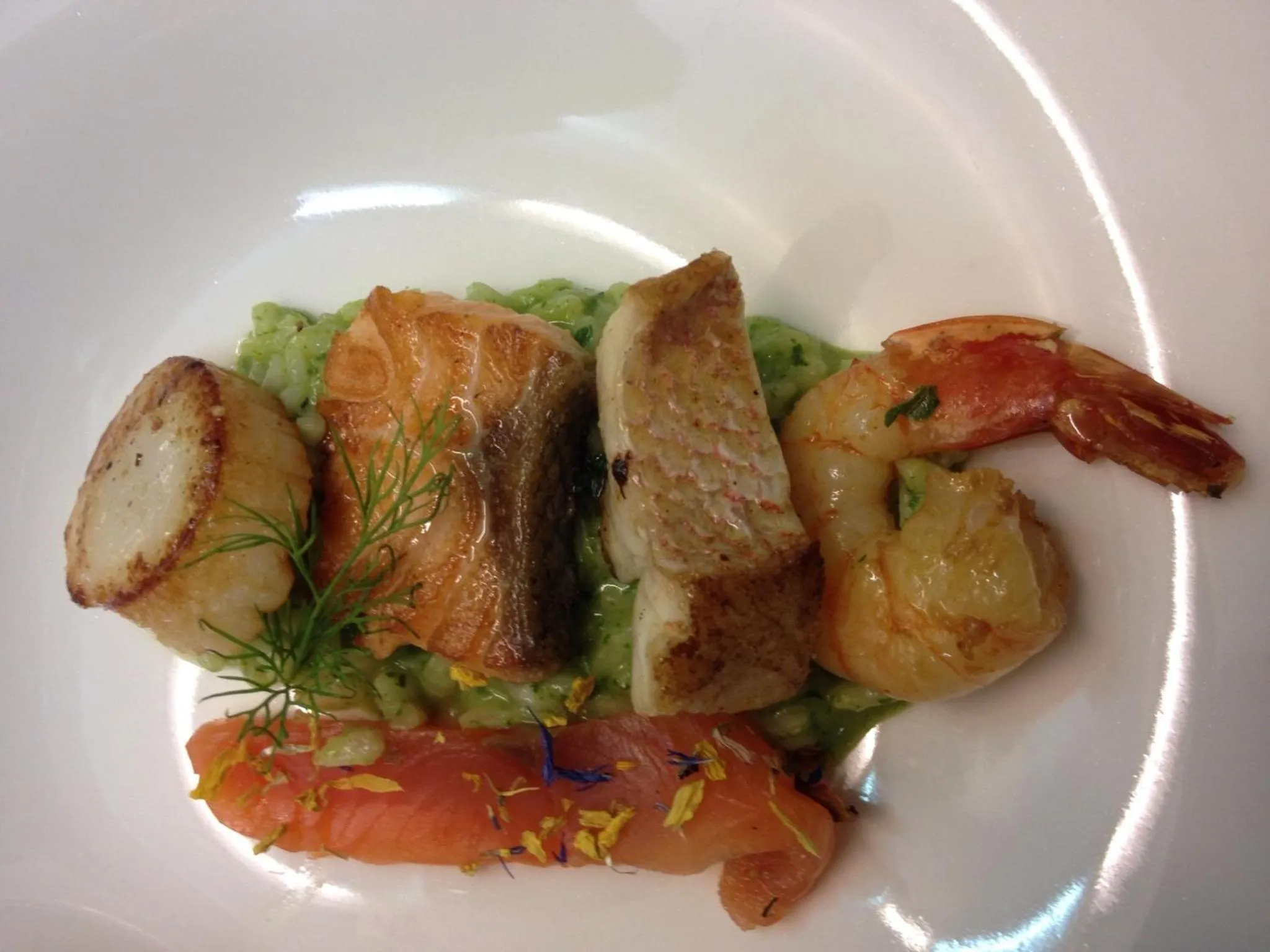 Restaurant/places to eat in Hotel Traube