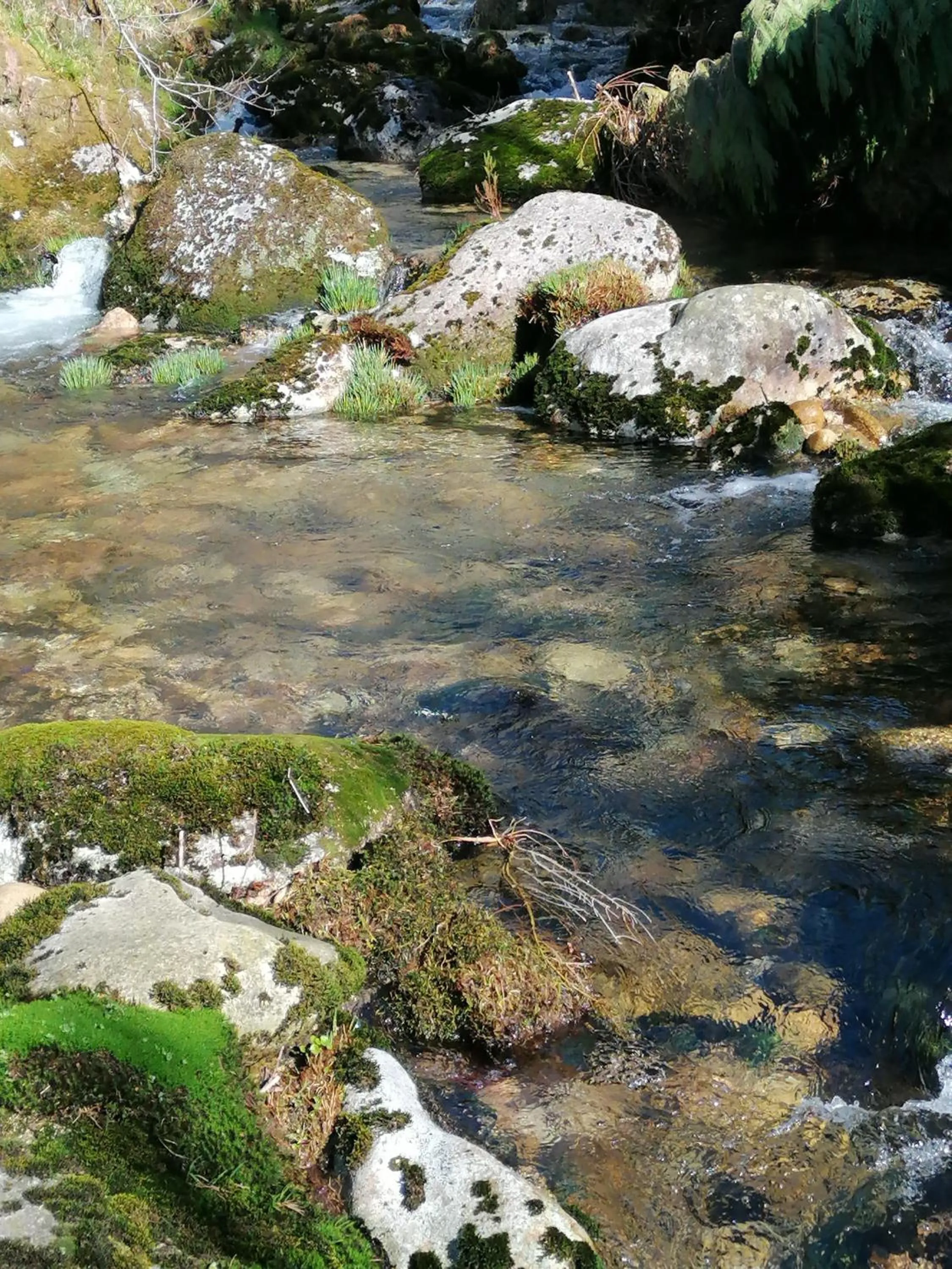 Natural landscape in Hotel de Charme Casa Fundevila