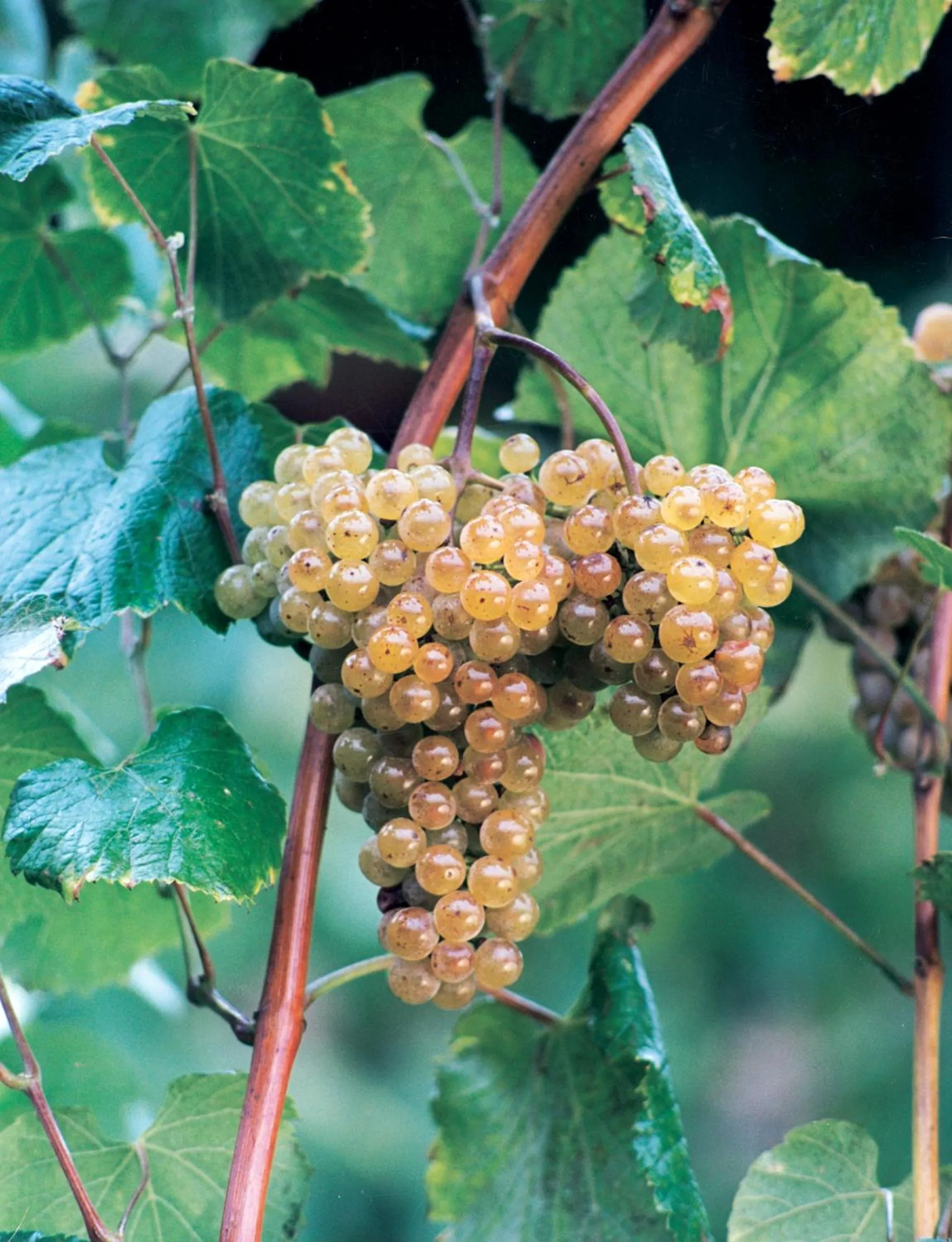 Property building in Hotel de Charme Casa Fundevila