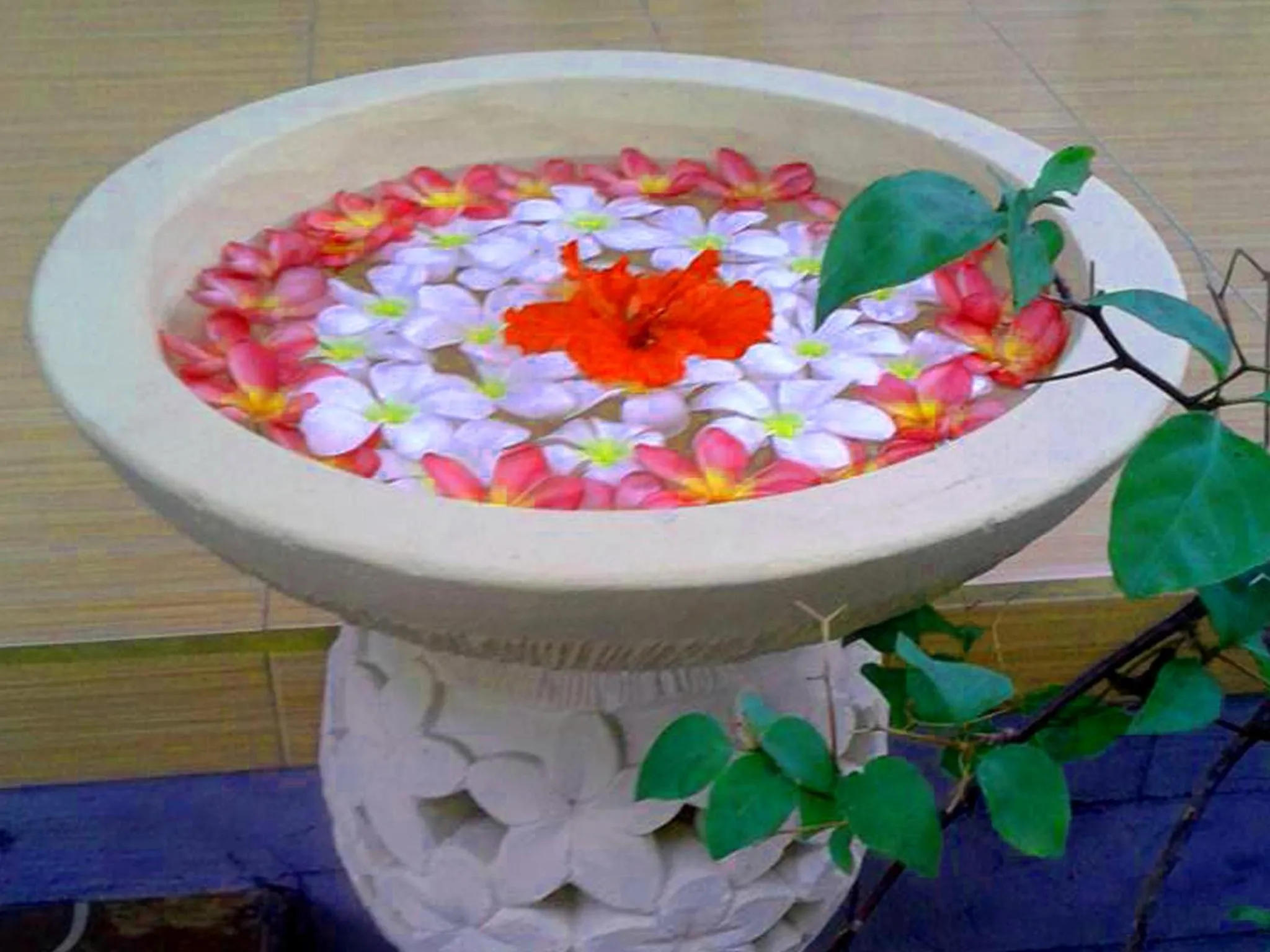 Other in Sweet Homestay