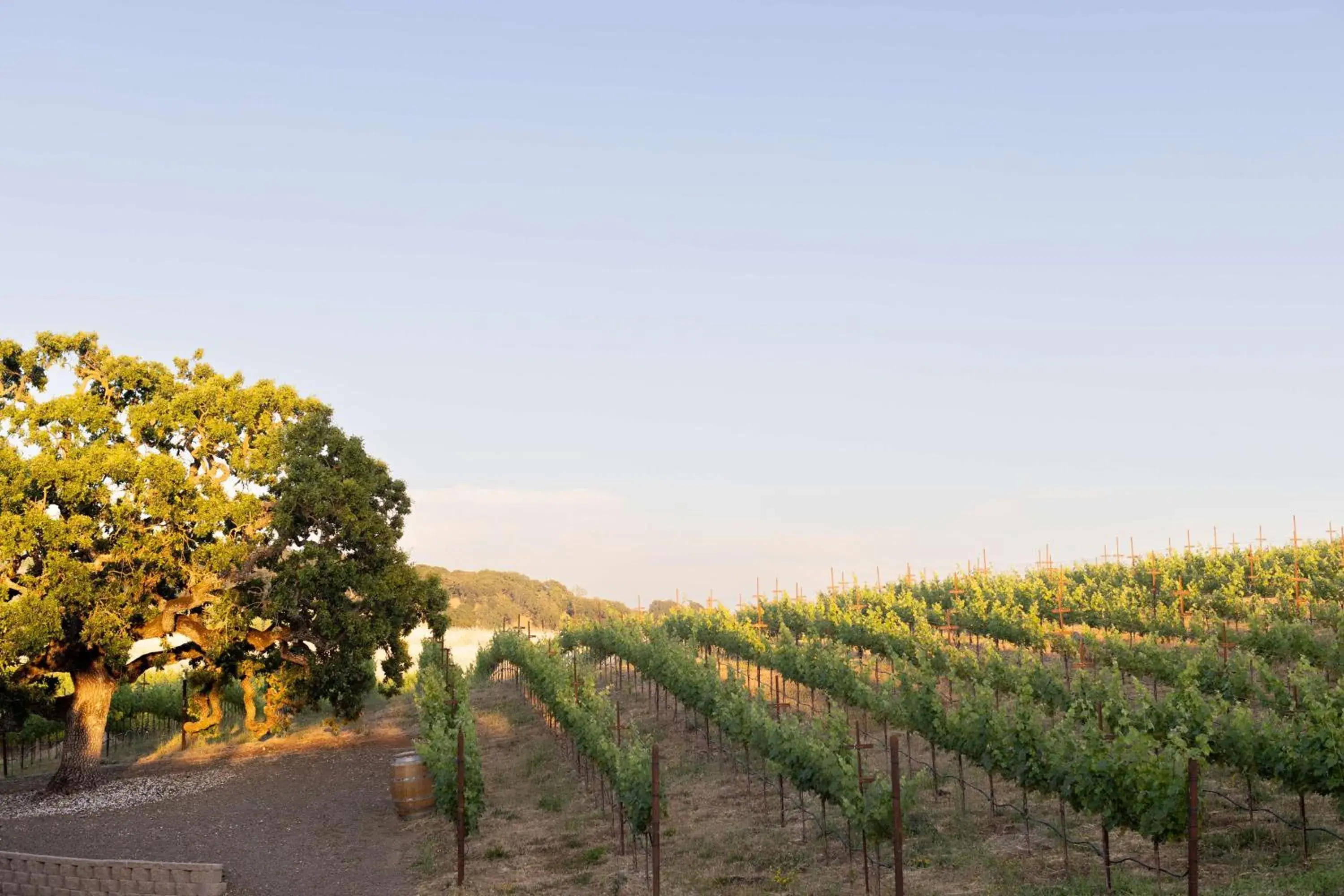 Property building in The Meritage Resort and Spa Property building in The Meritage Resort and Spa