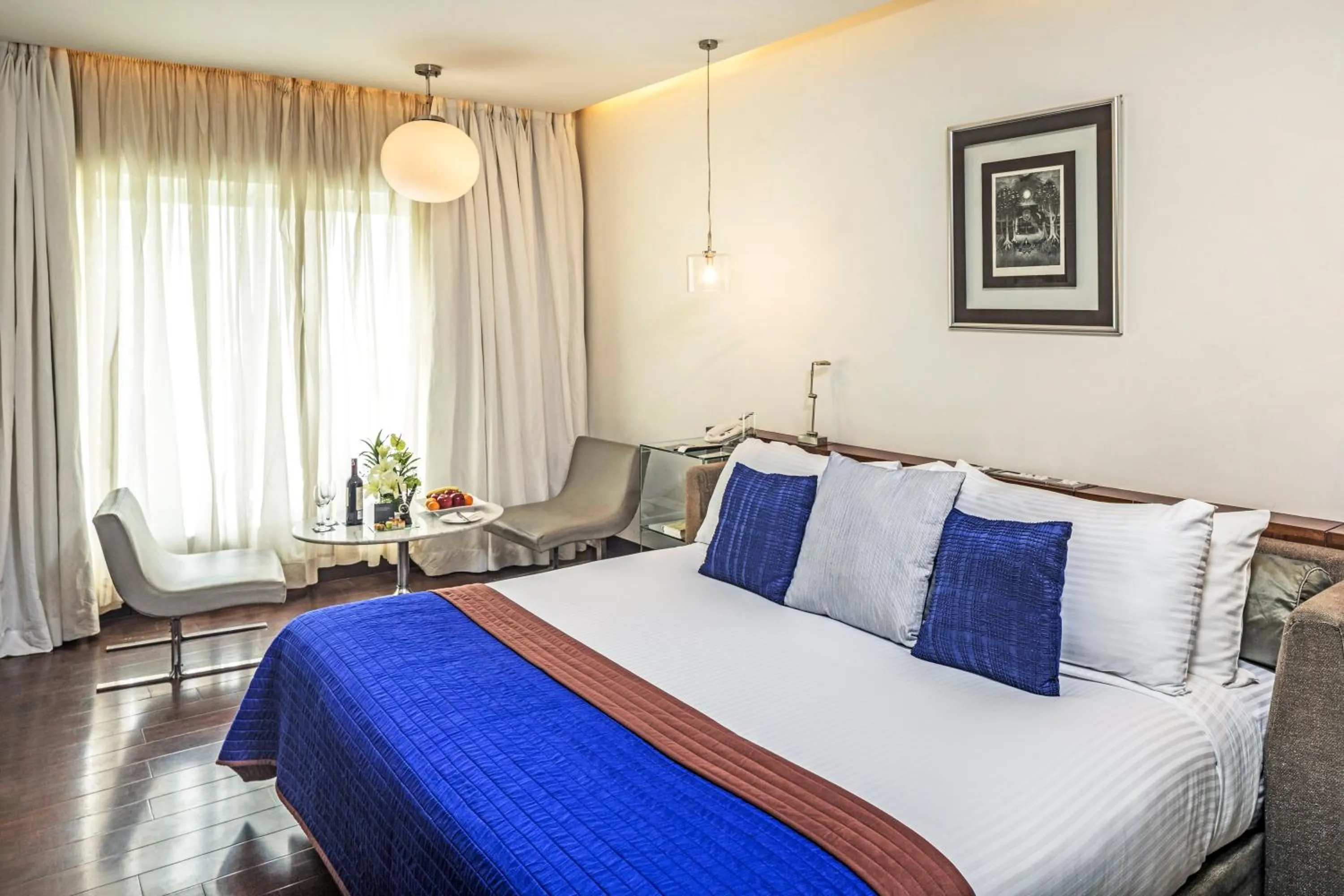 Luxury Premium Double Room  in The Park New Delhi