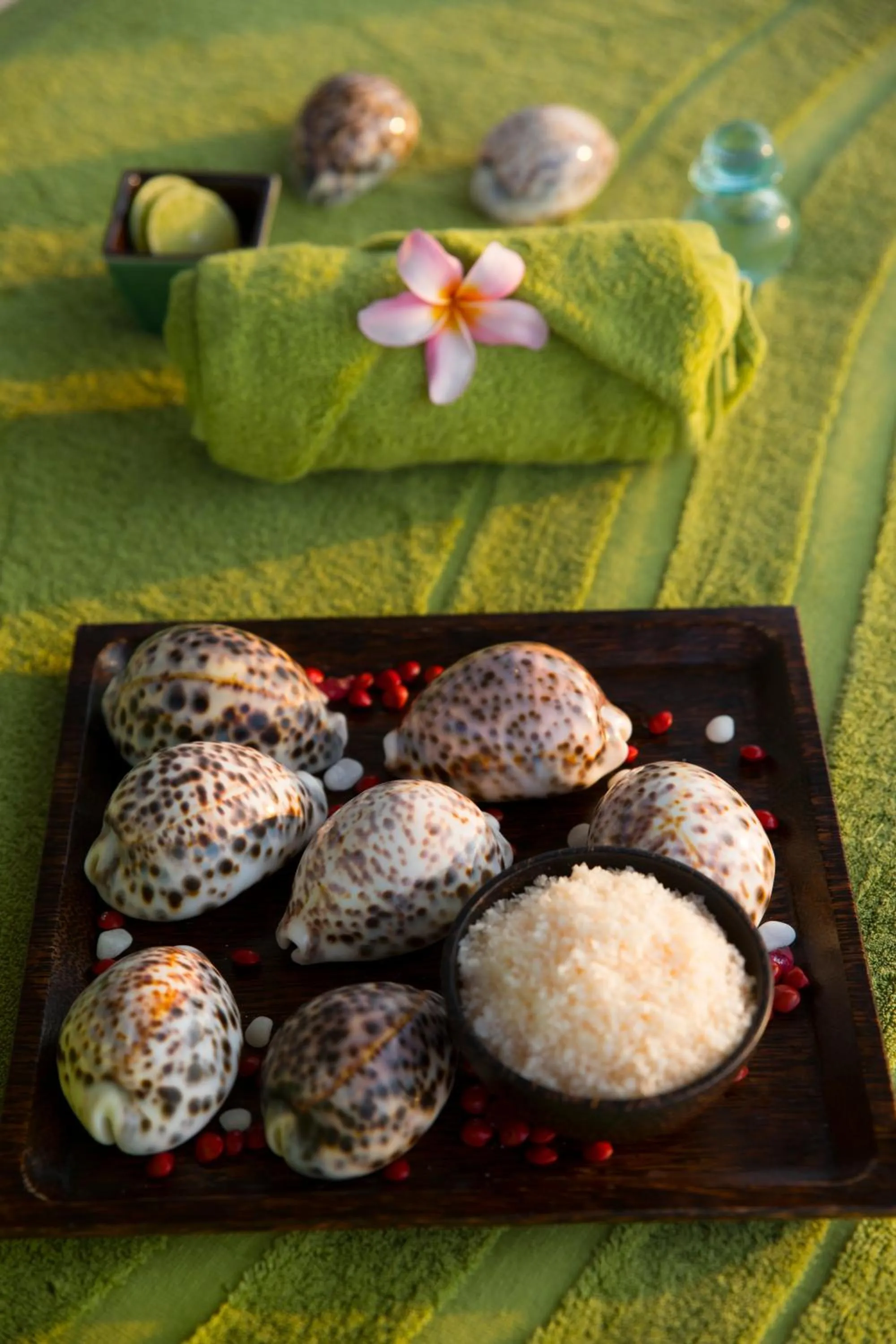 Spa and wellness centre/facilities in Kurumba Maldives