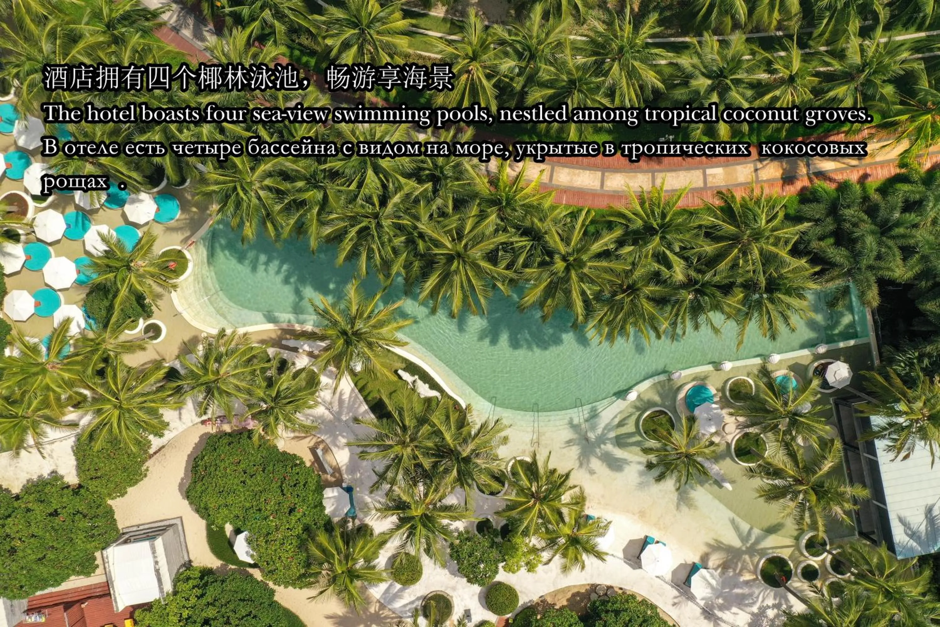 Pool view in InterContinental Sanya Resort by IHG