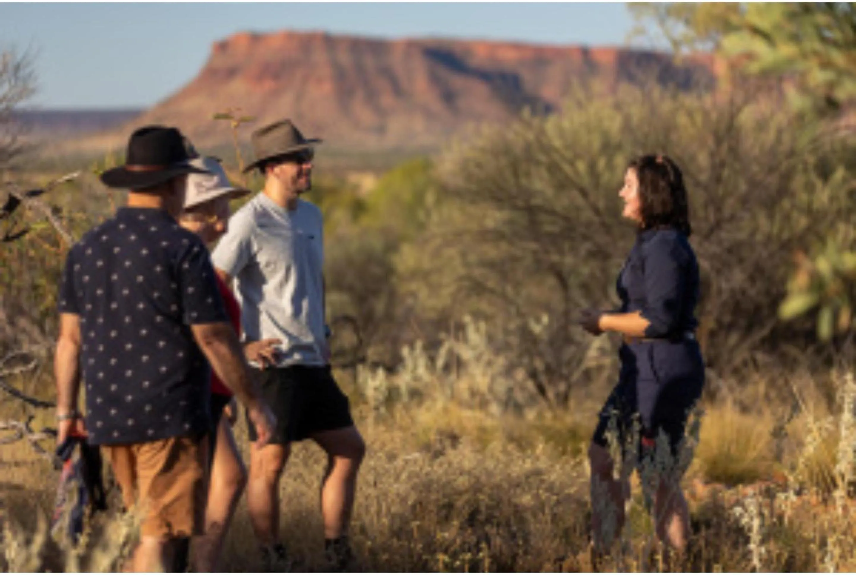Hiking in Discovery Resorts - Kings Canyon
