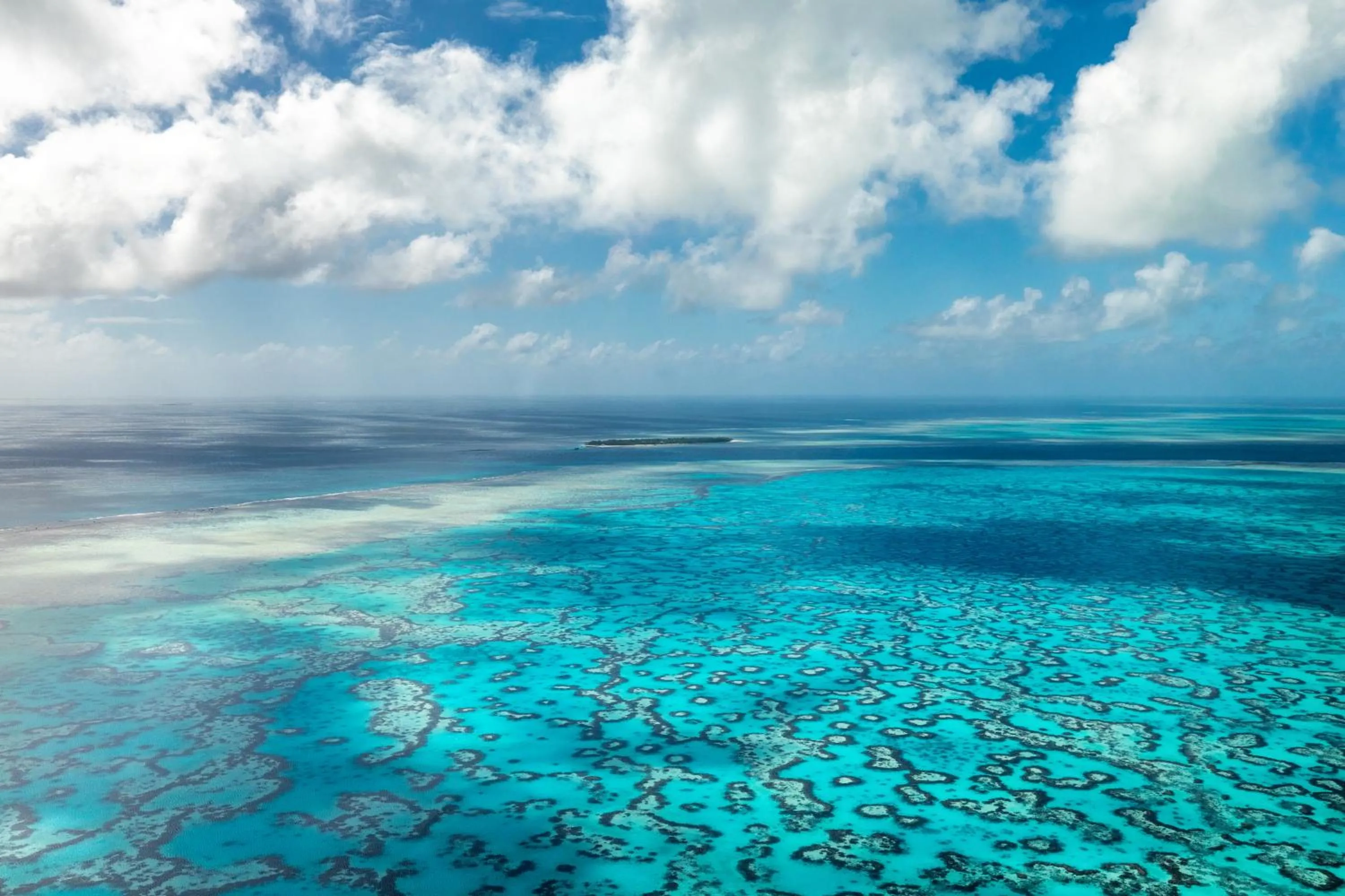Natural landscape in Heron Island