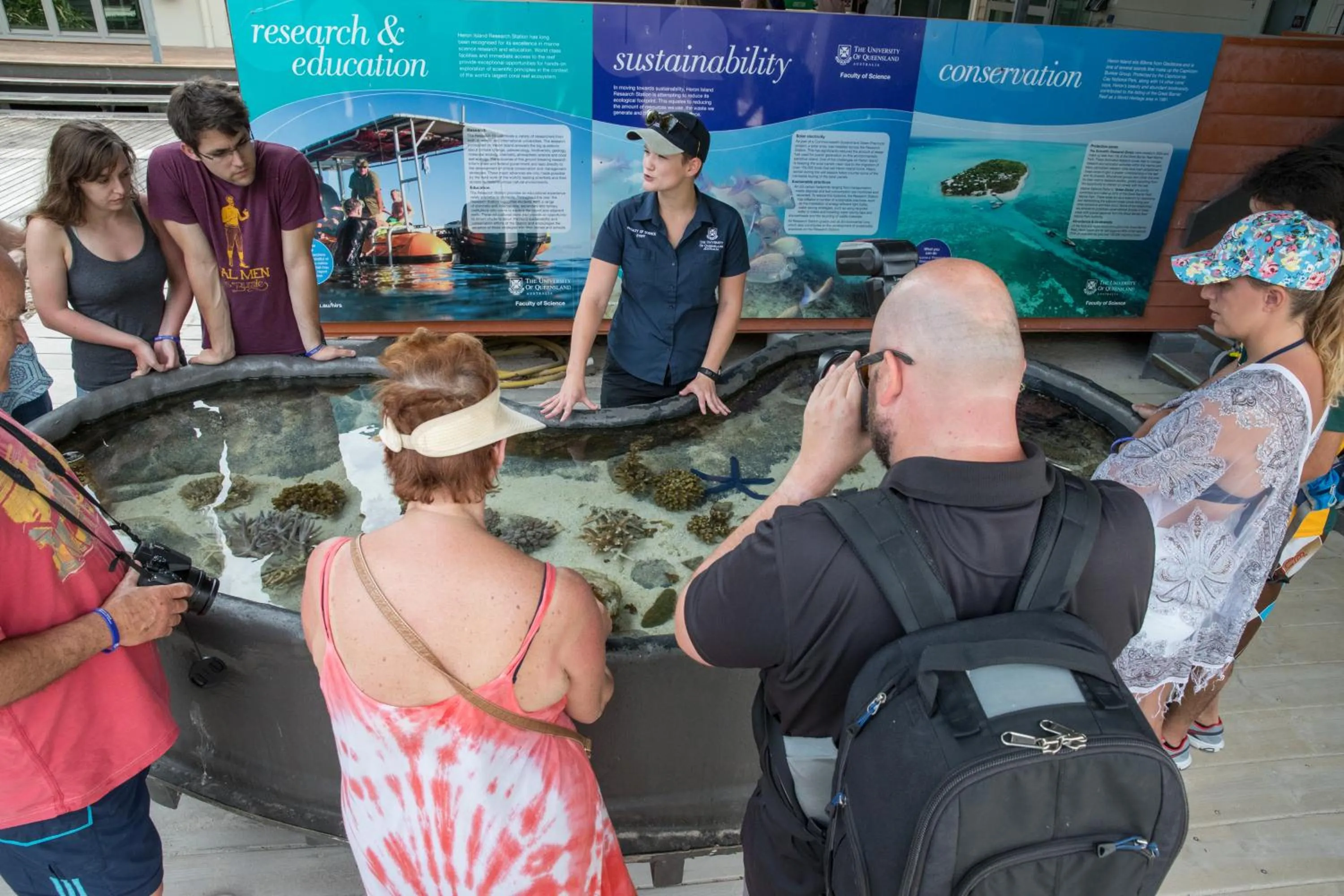 Activities in Heron Island