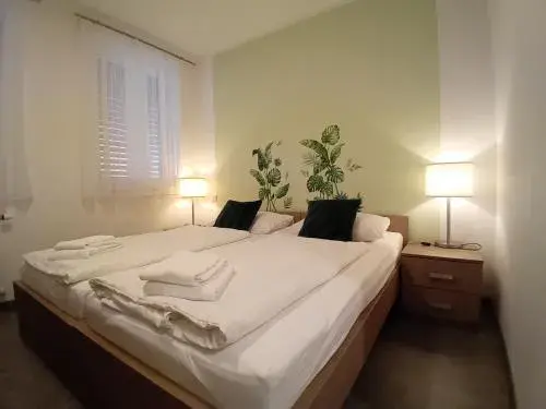 Standard Double Room in AIS Center Standard Double Room in AIS Center