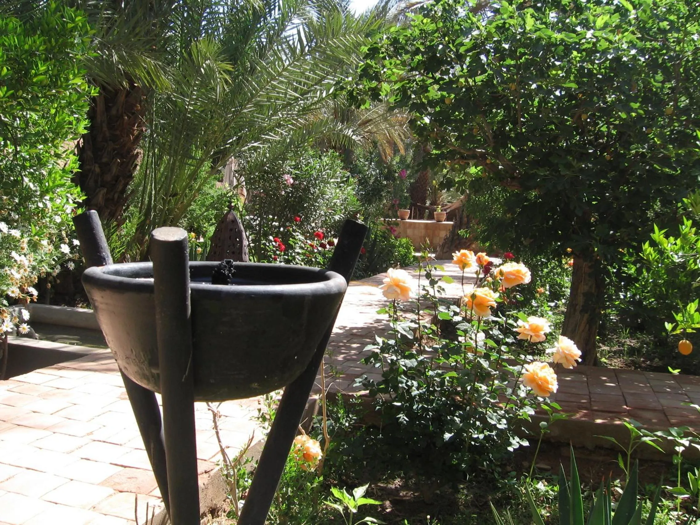 Garden in Dar Qamar