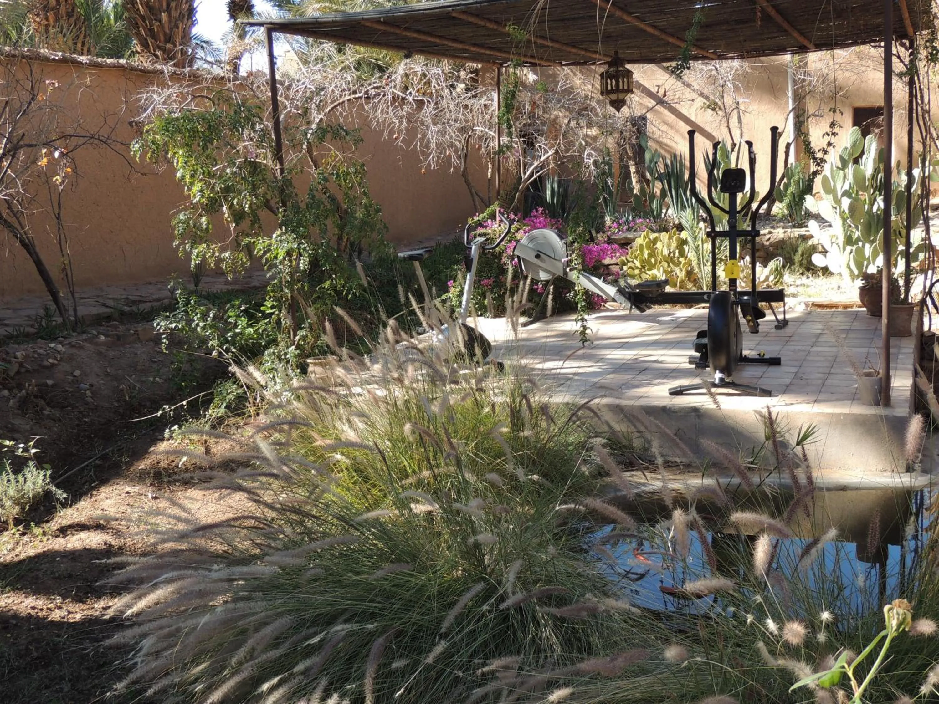 Garden view in Dar Qamar