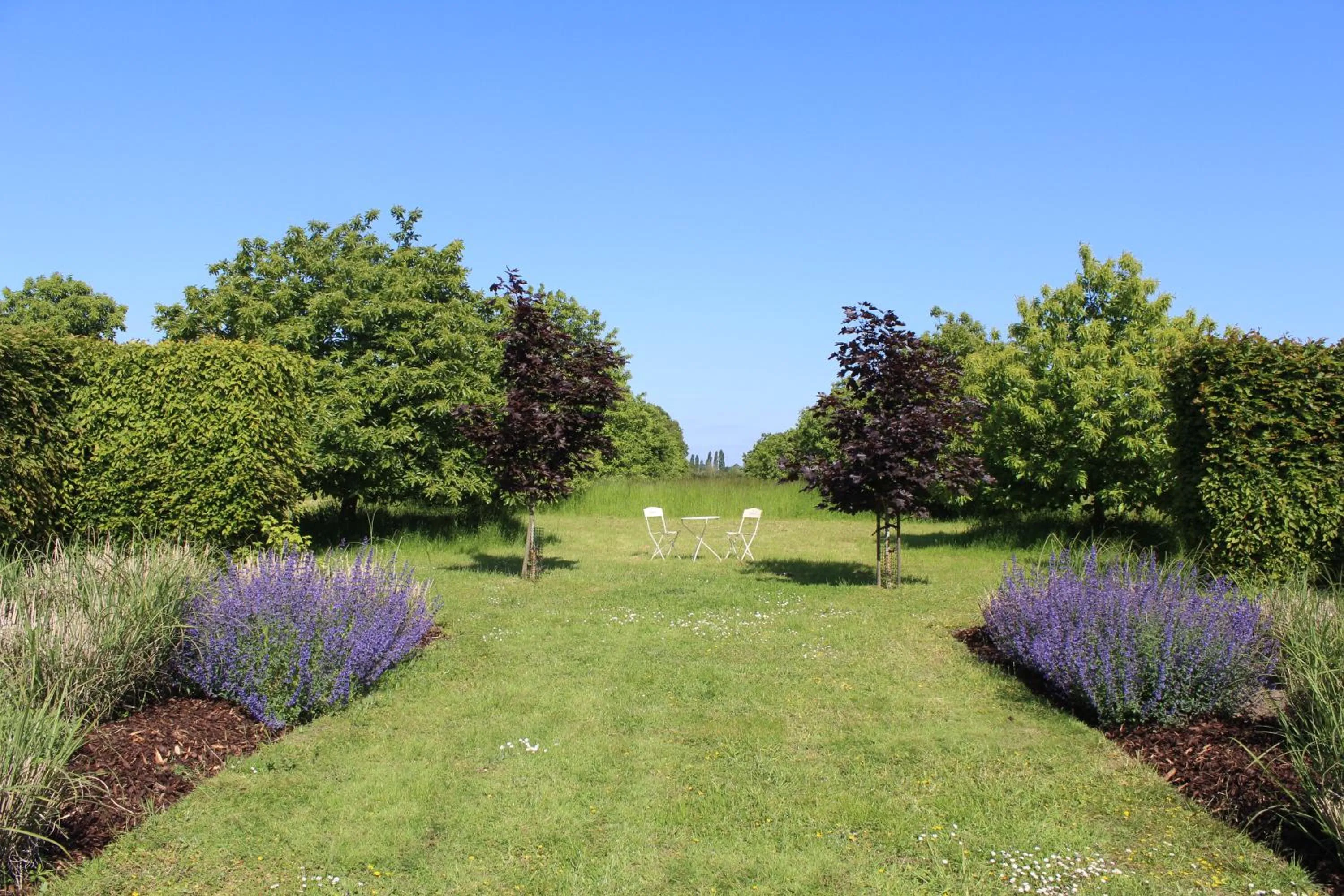 Natural landscape in Dairy Cottage Luxury B&B