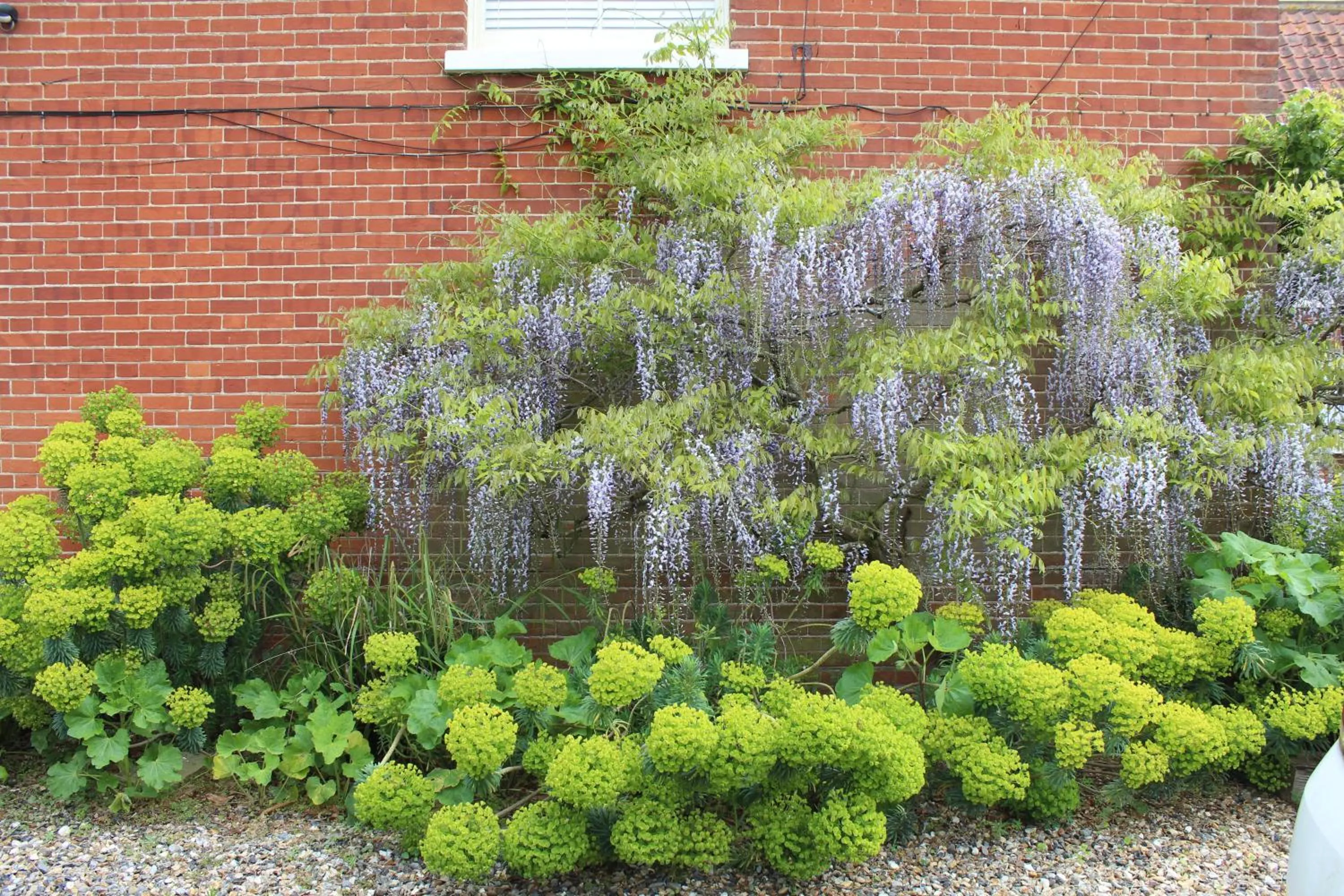 Property building in Dairy Cottage Luxury B&B