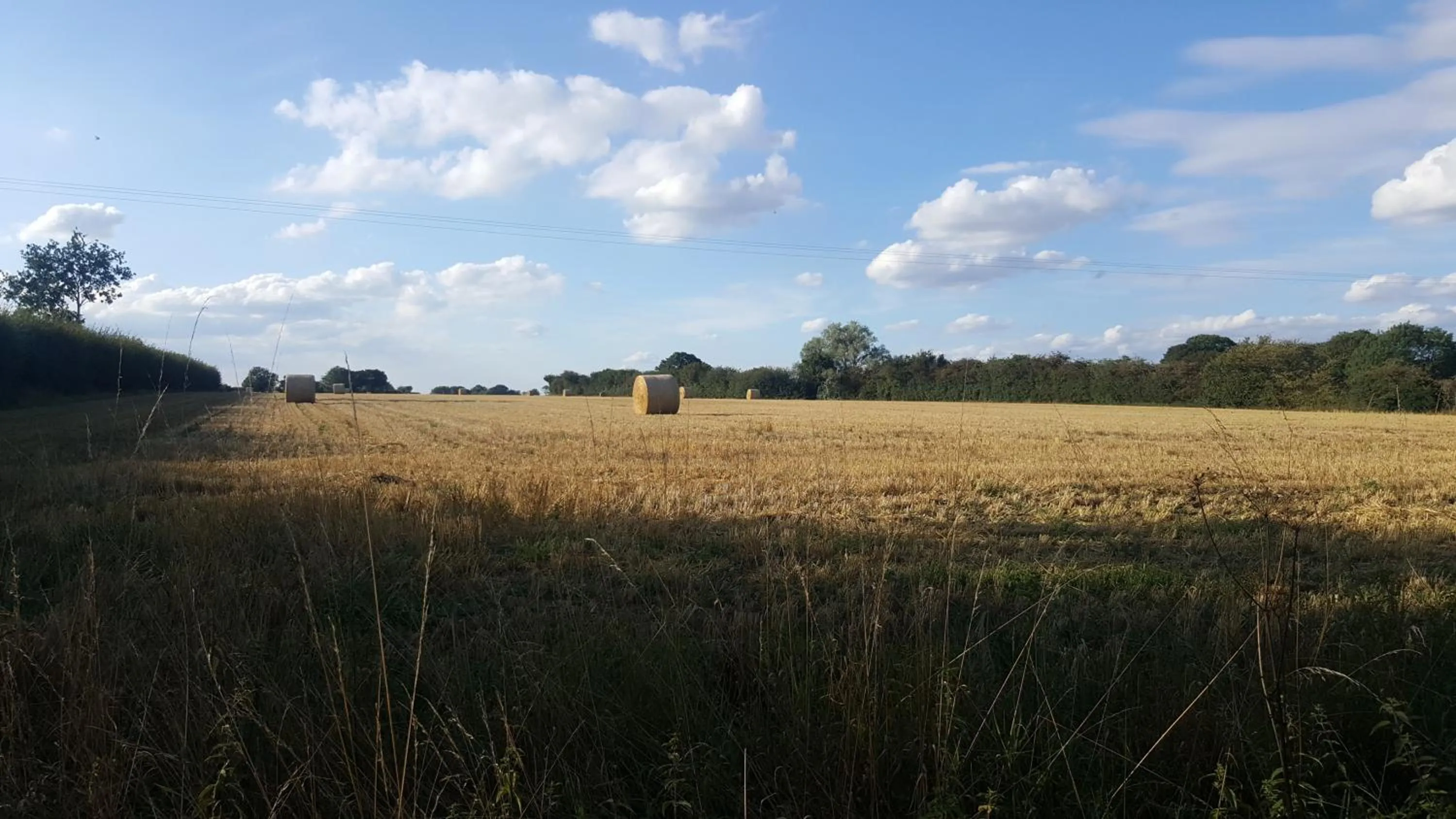 Natural landscape in Dairy Cottage Luxury B&B