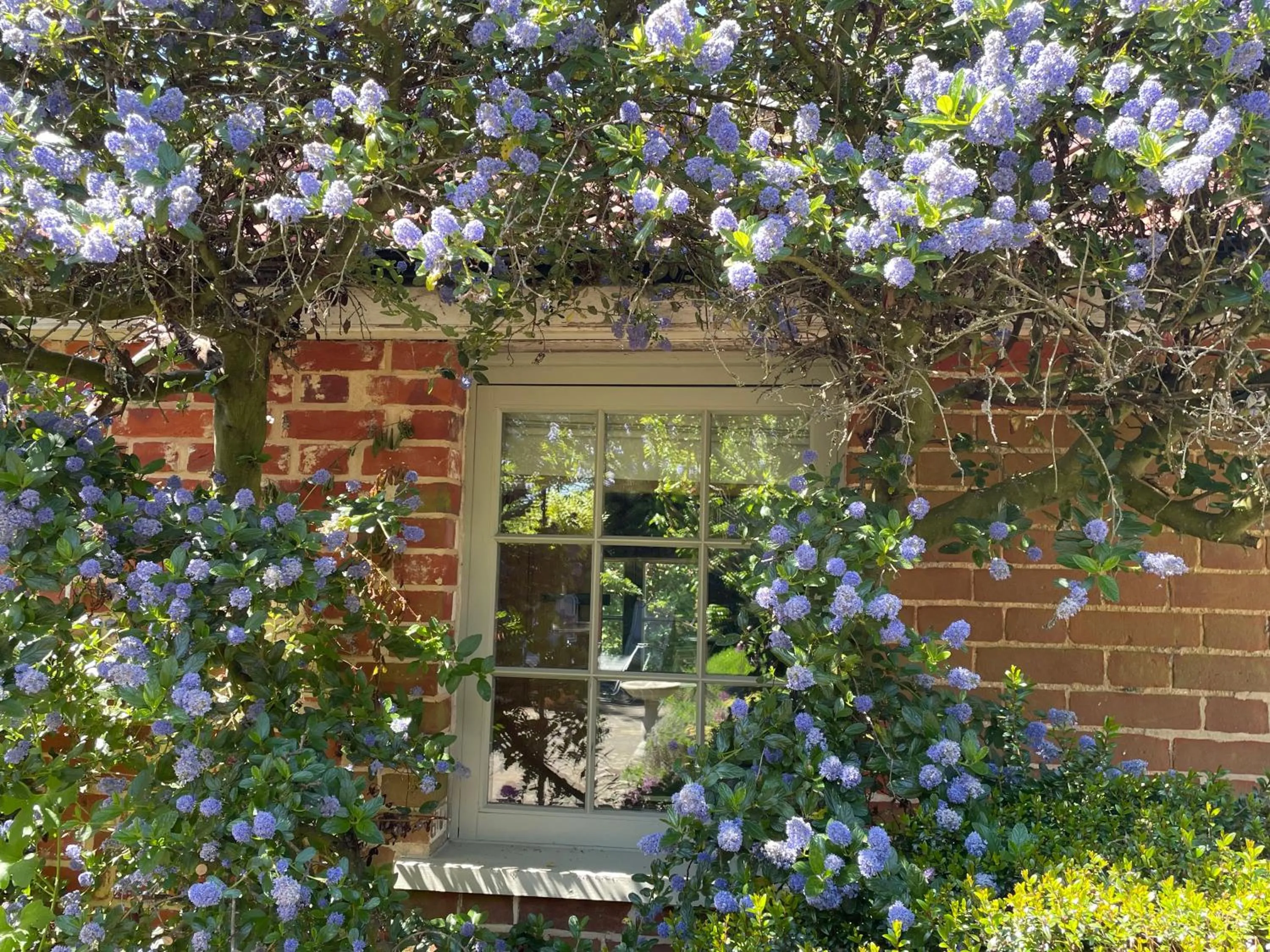 Dairy Cottage Luxury B&B