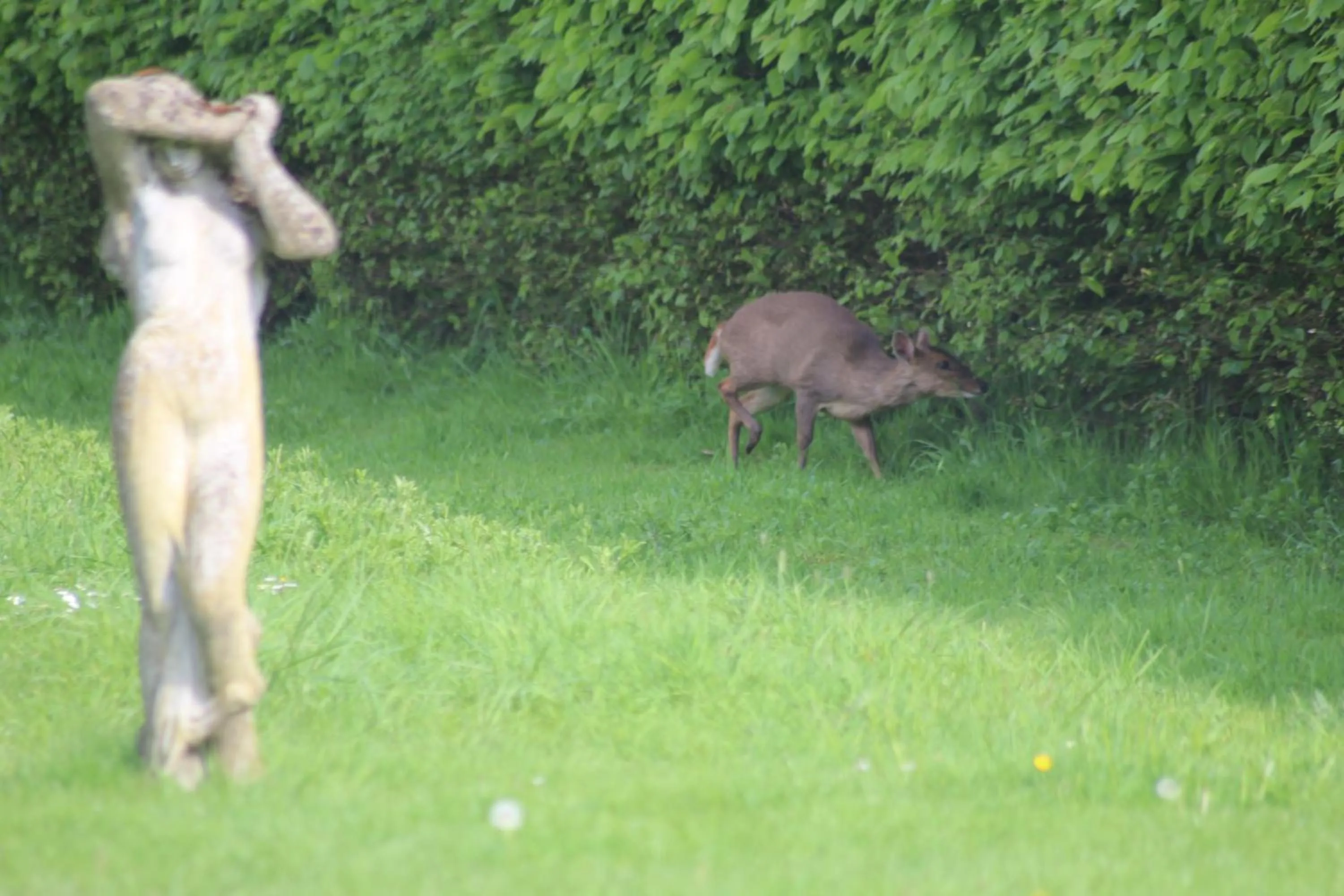 Natural landscape in Dairy Cottage Luxury B&B
