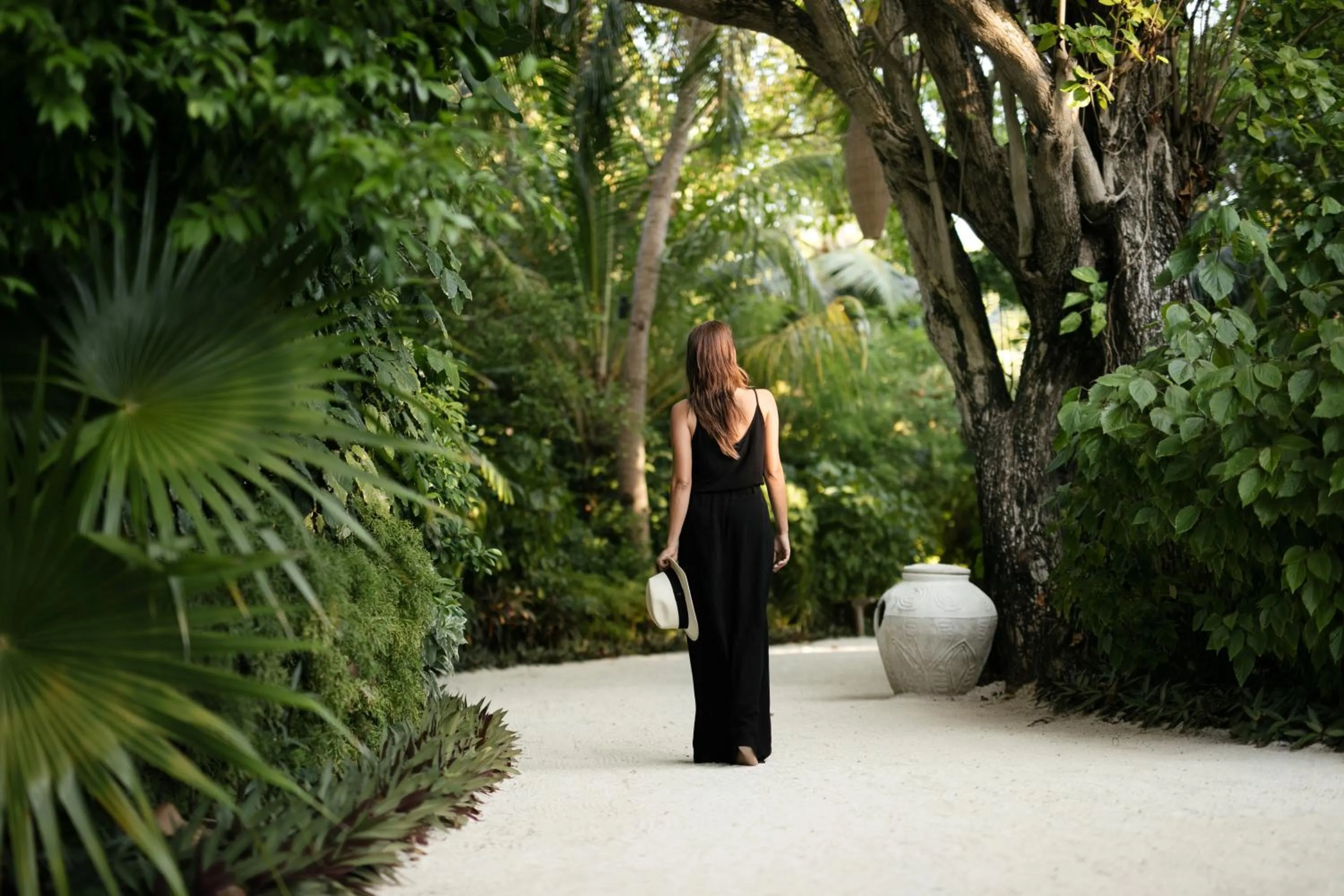 Garden in Baros Maldives