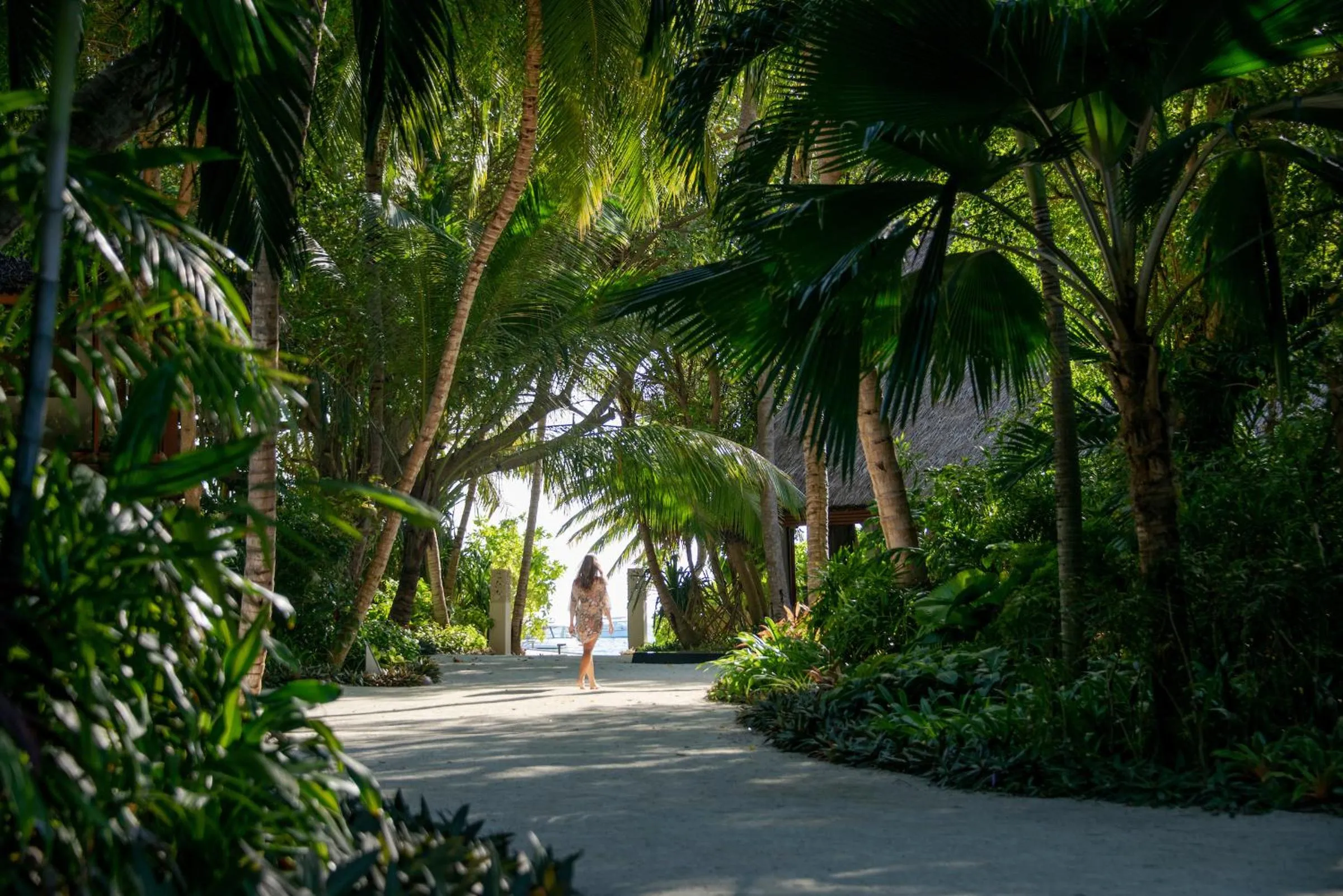 Garden in Baros Maldives