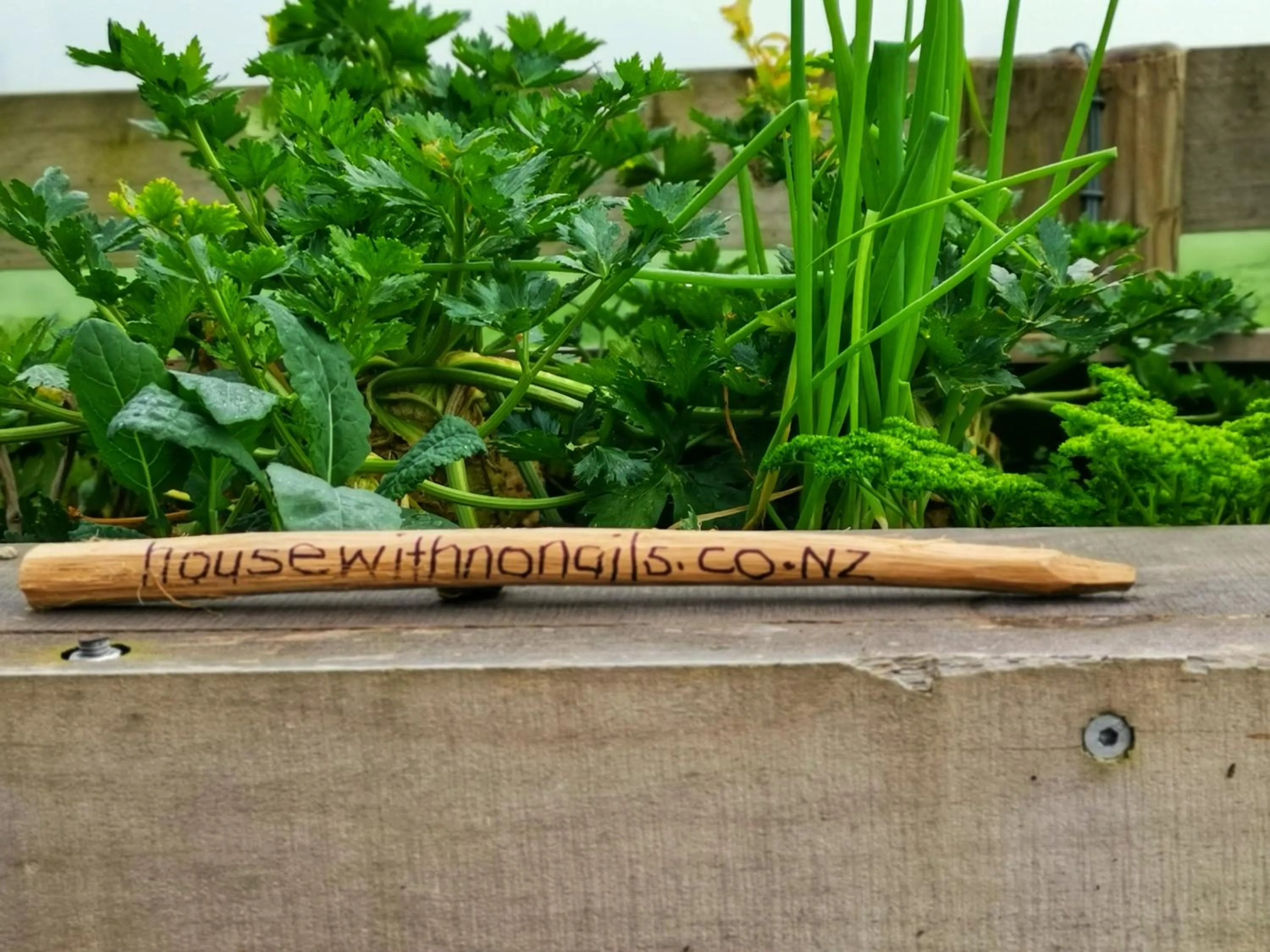 Garden in housewithnonails