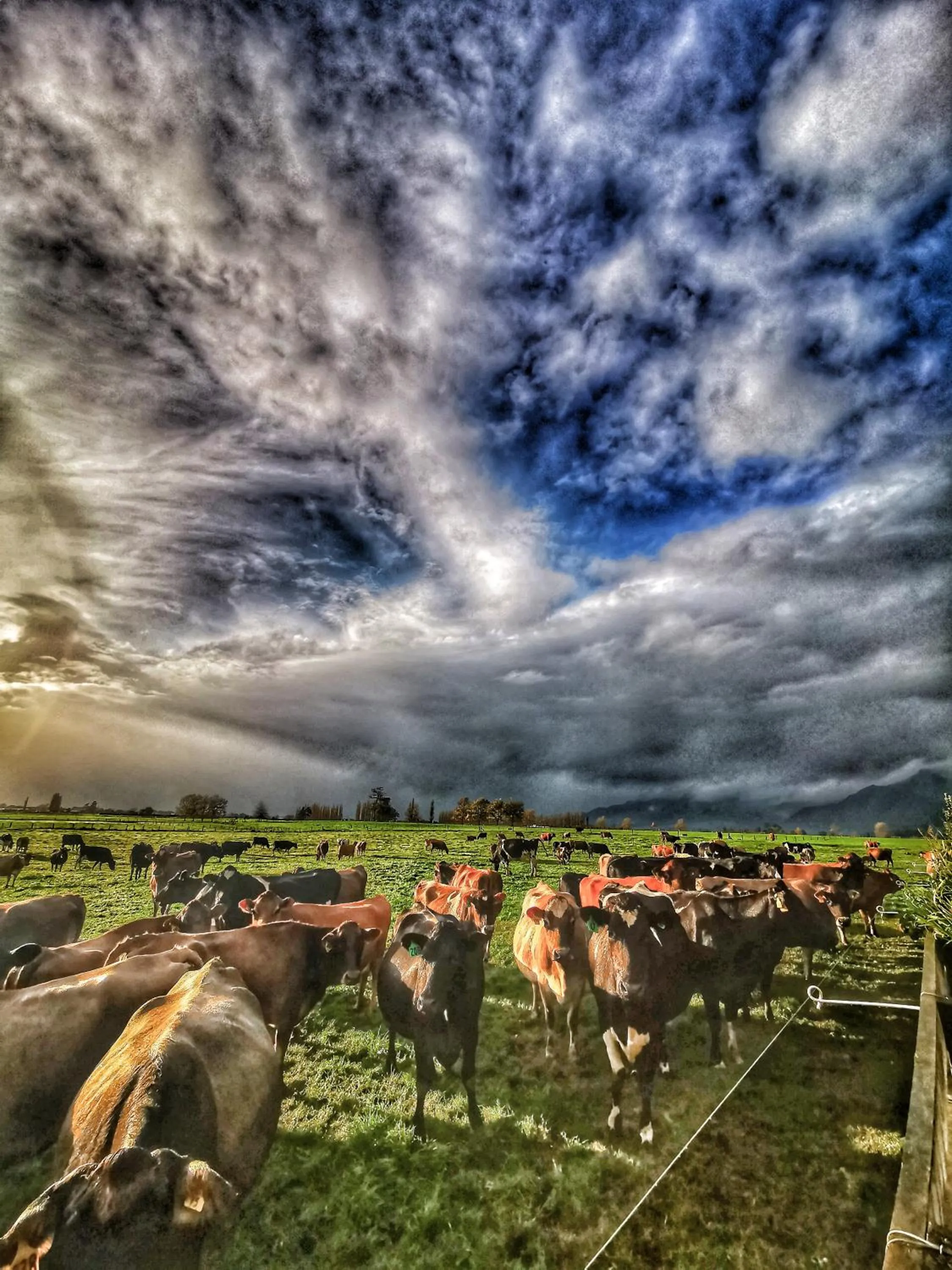 Day in housewithnonails