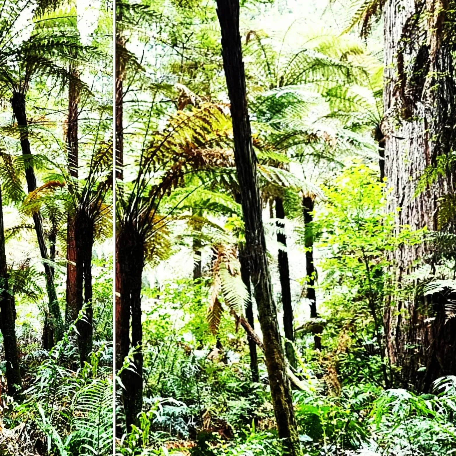 Nearby landmark in housewithnonails