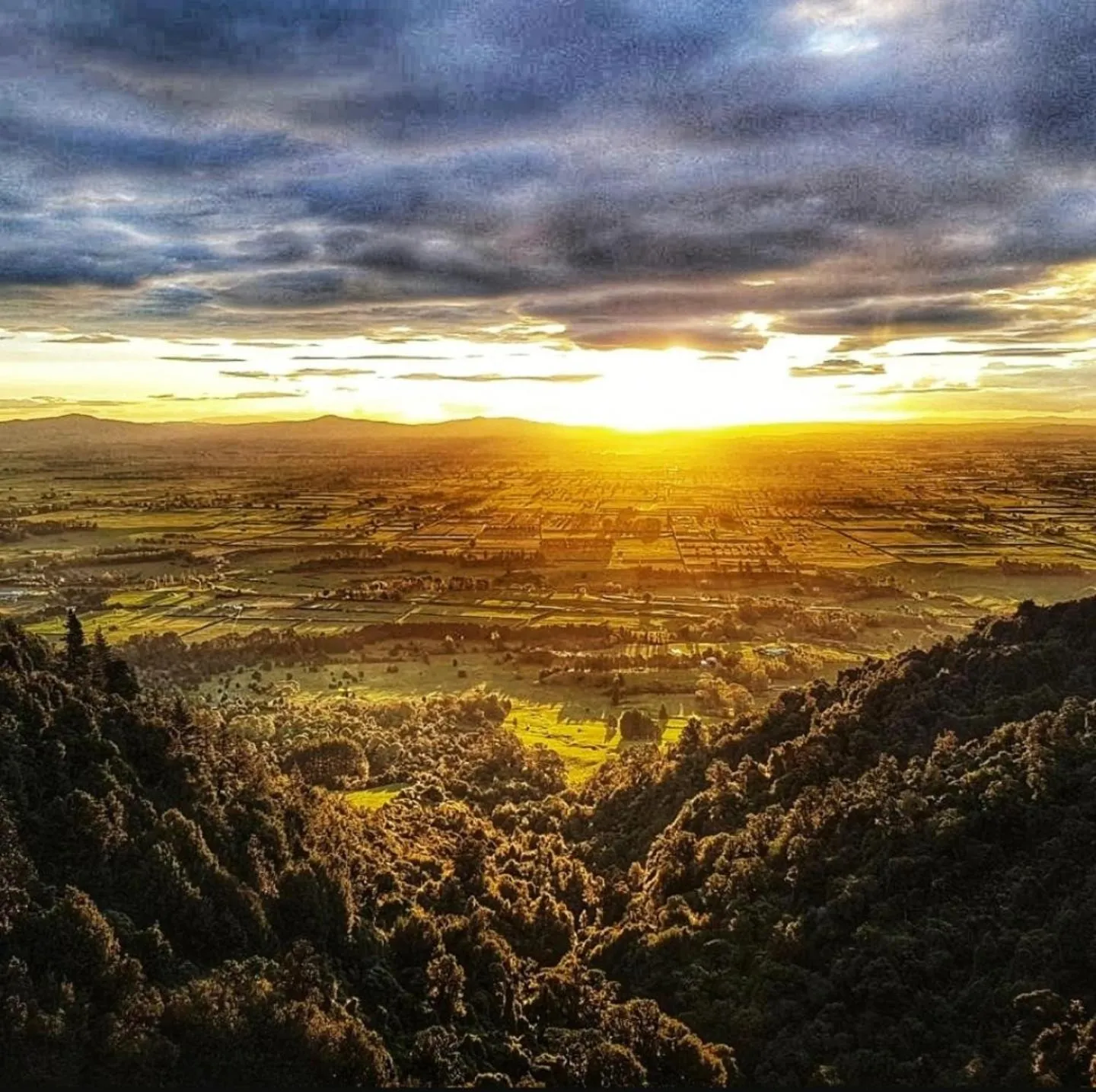 Nearby landmark in housewithnonails