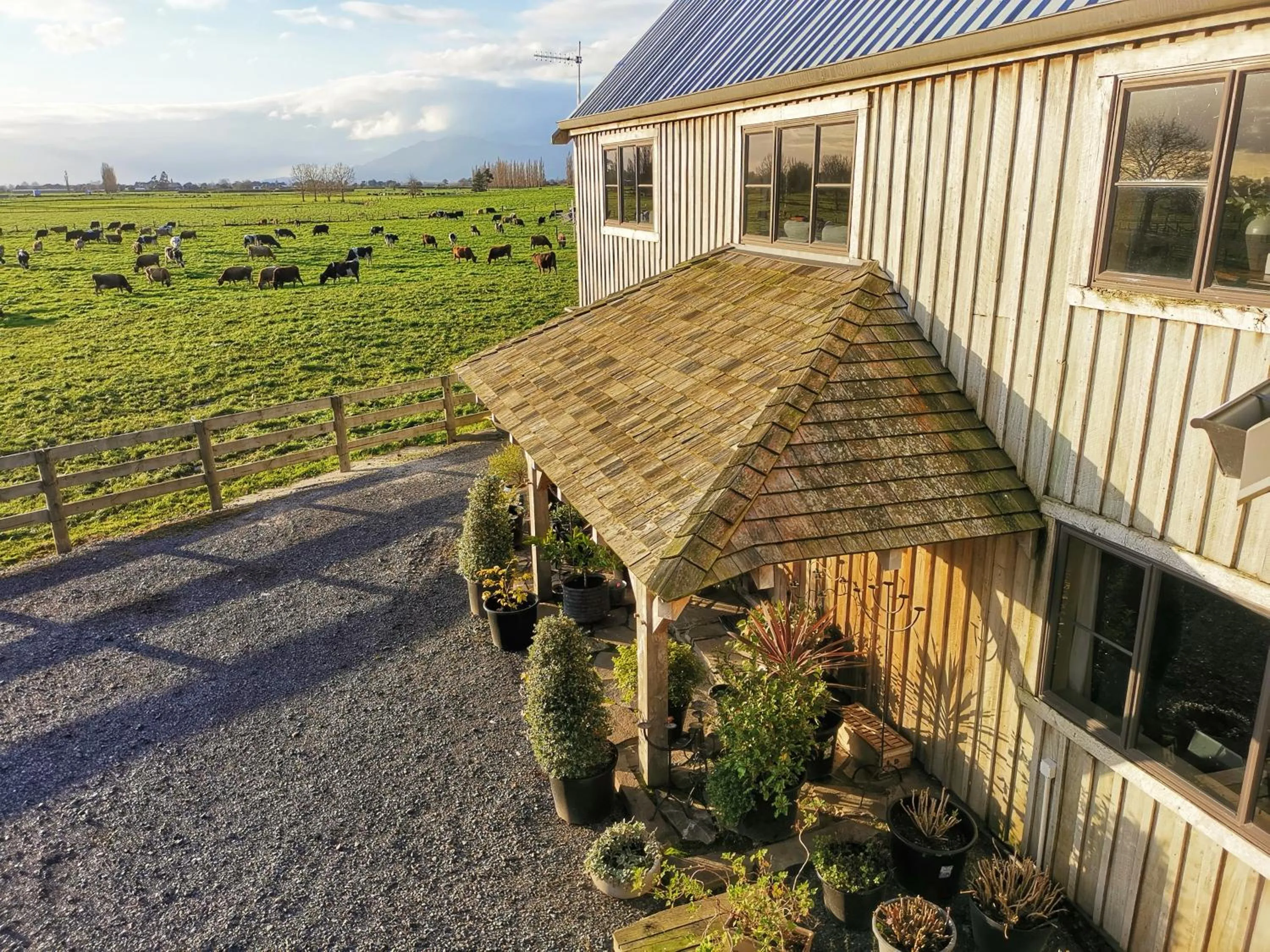 Garden view in housewithnonails