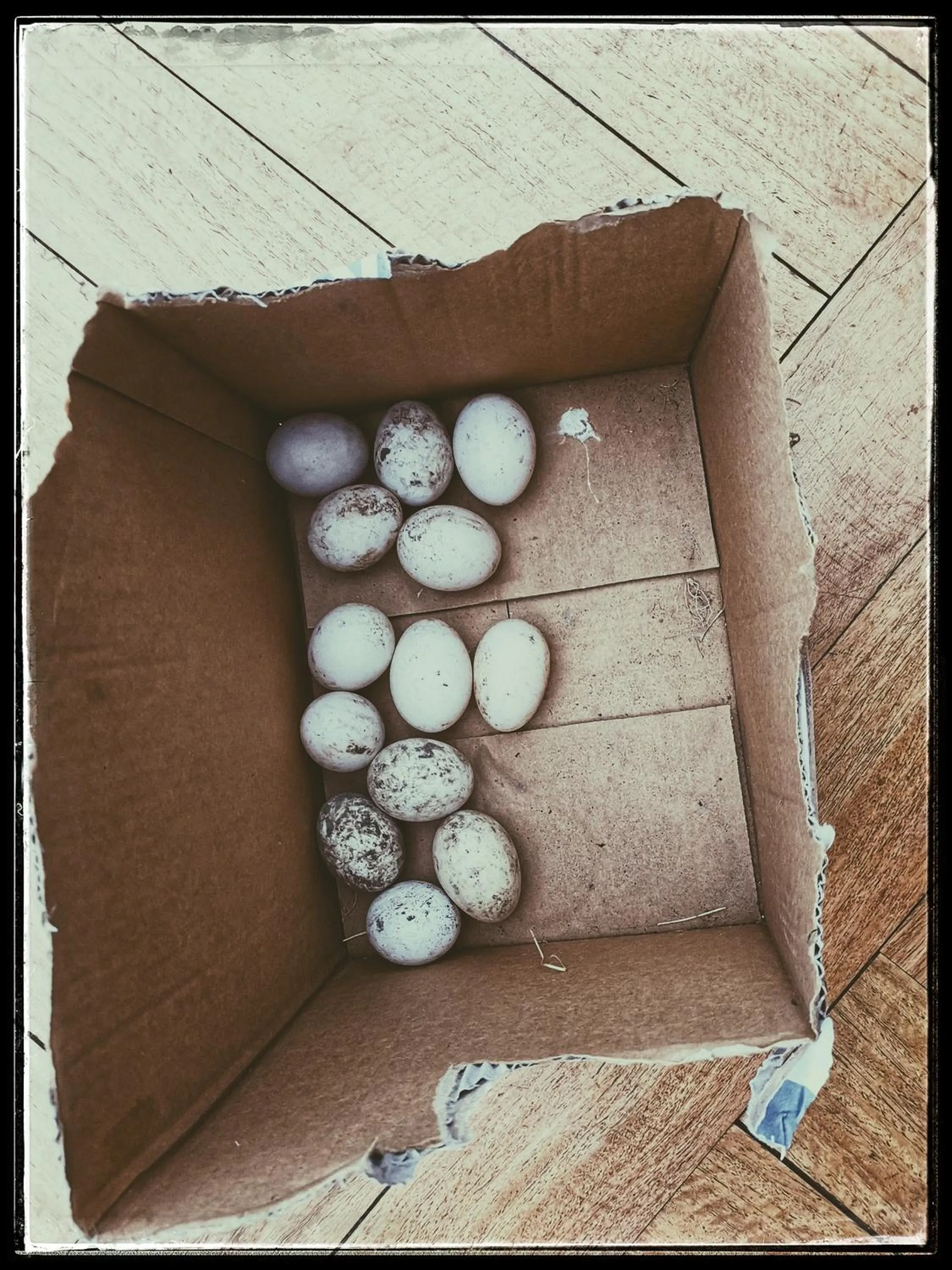 Breakfast in housewithnonails