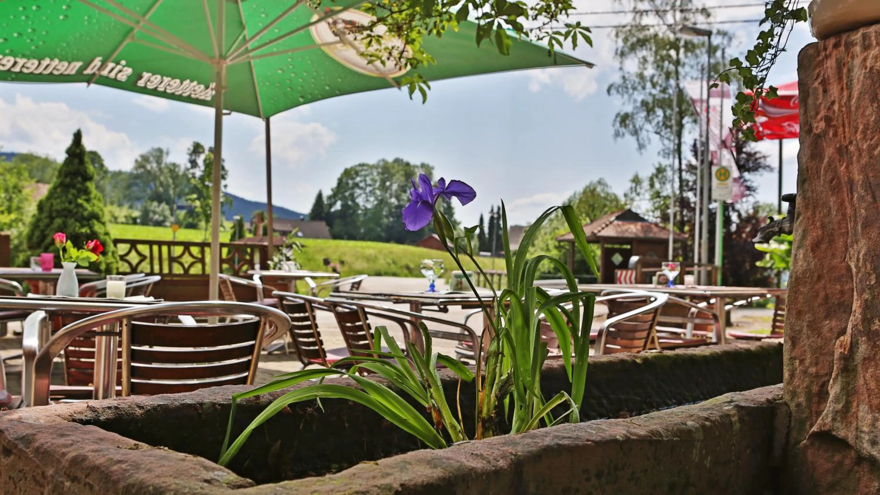 Patio in Grüner Hof