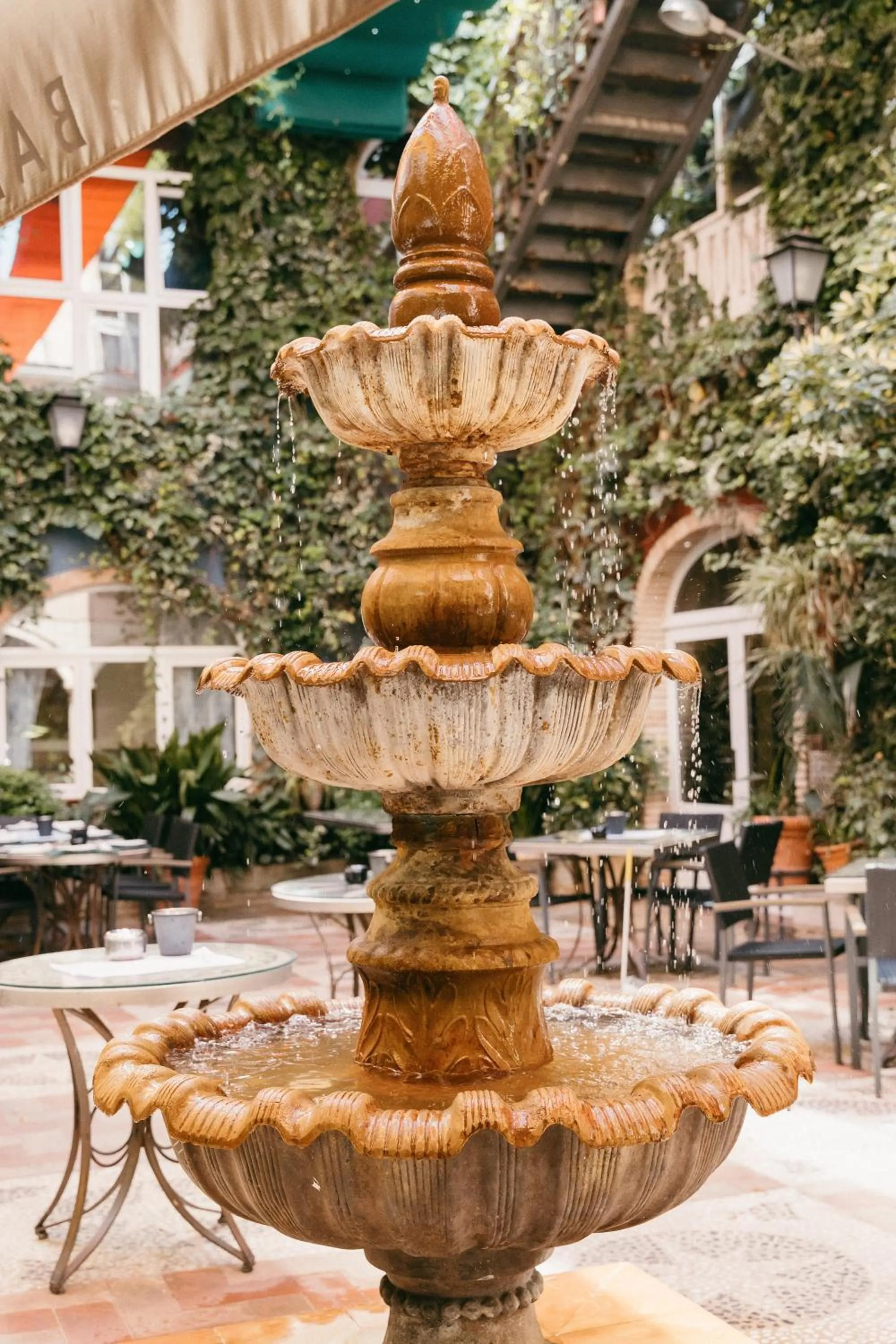 Patio in Hotel Plaza Manjón