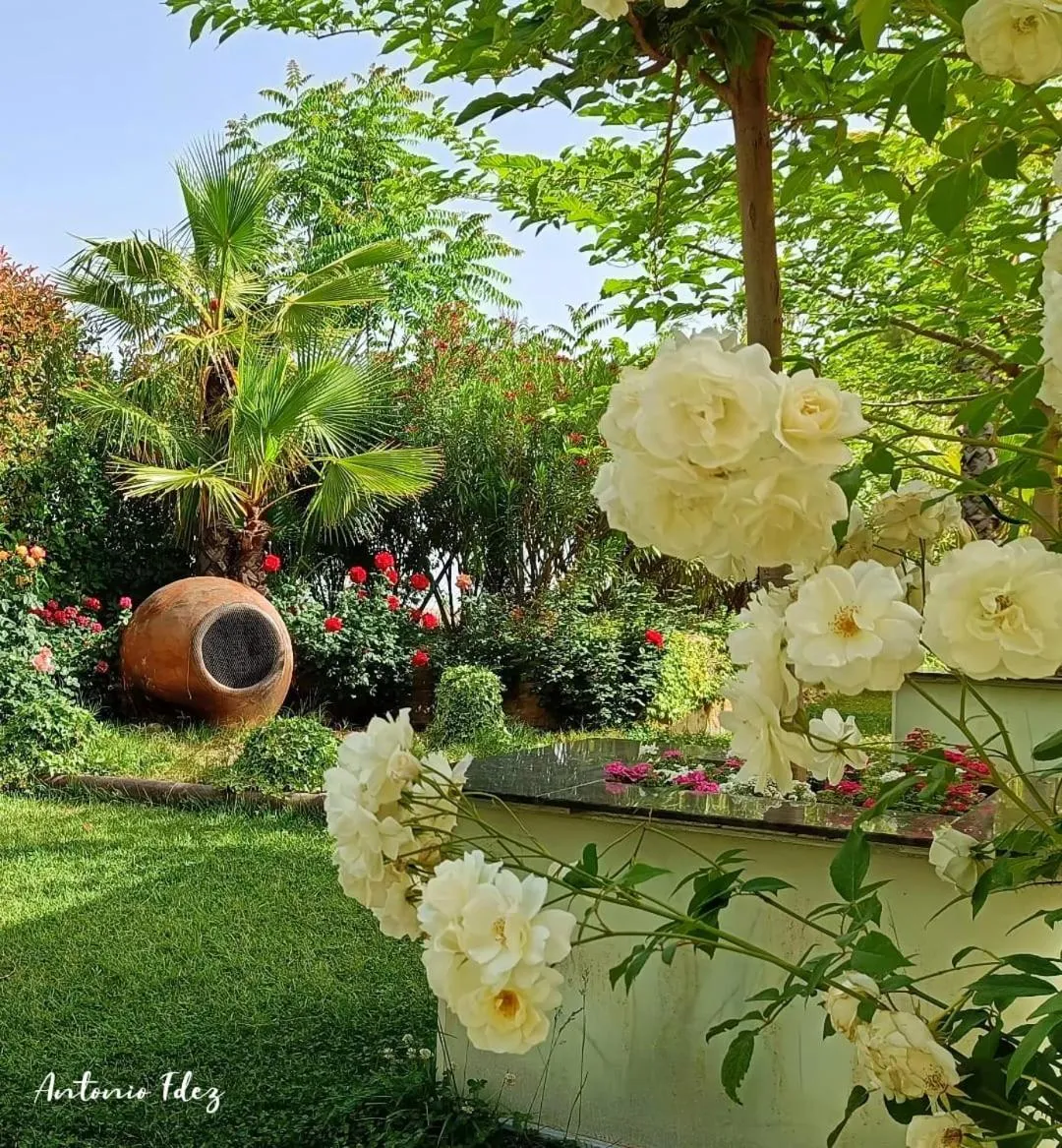 Garden in Hotel Plaza Manjón