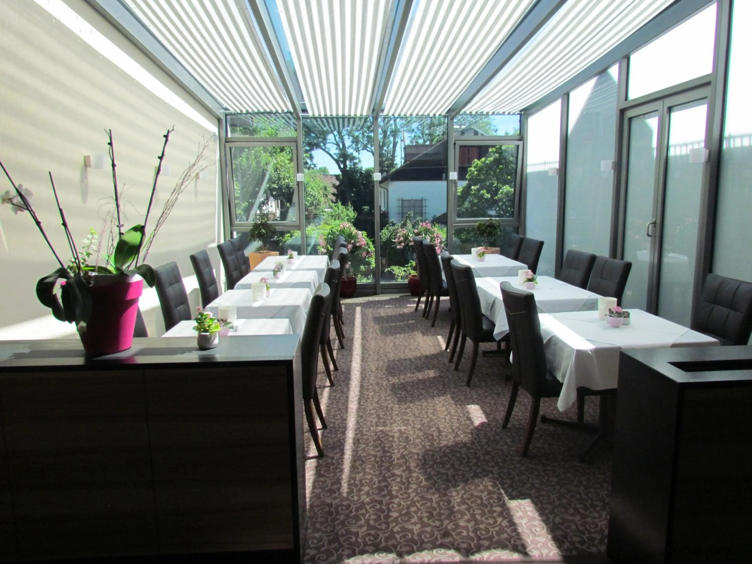 Food and drinks in Hotel Lutter