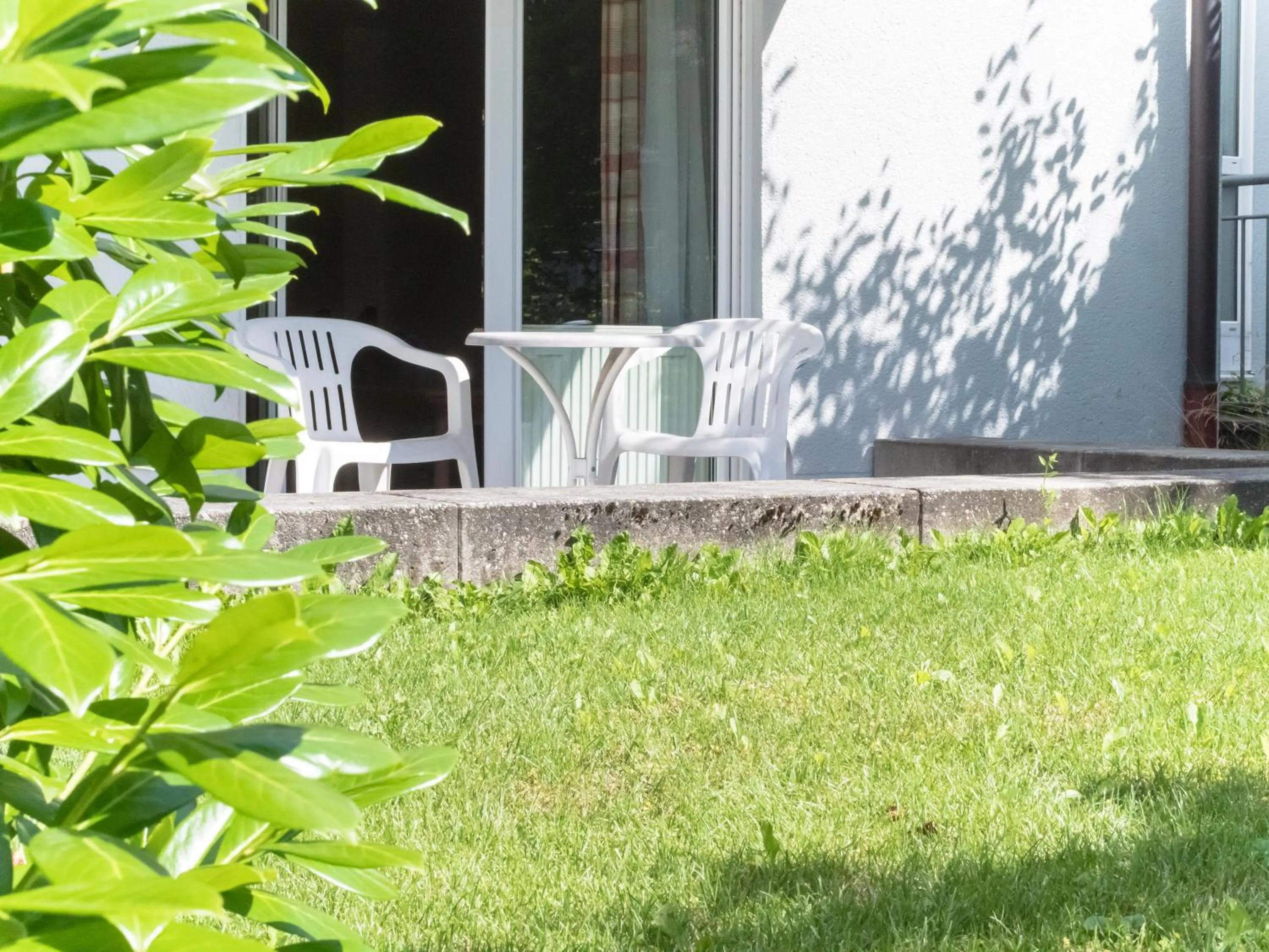Garden in Hotel Lutter